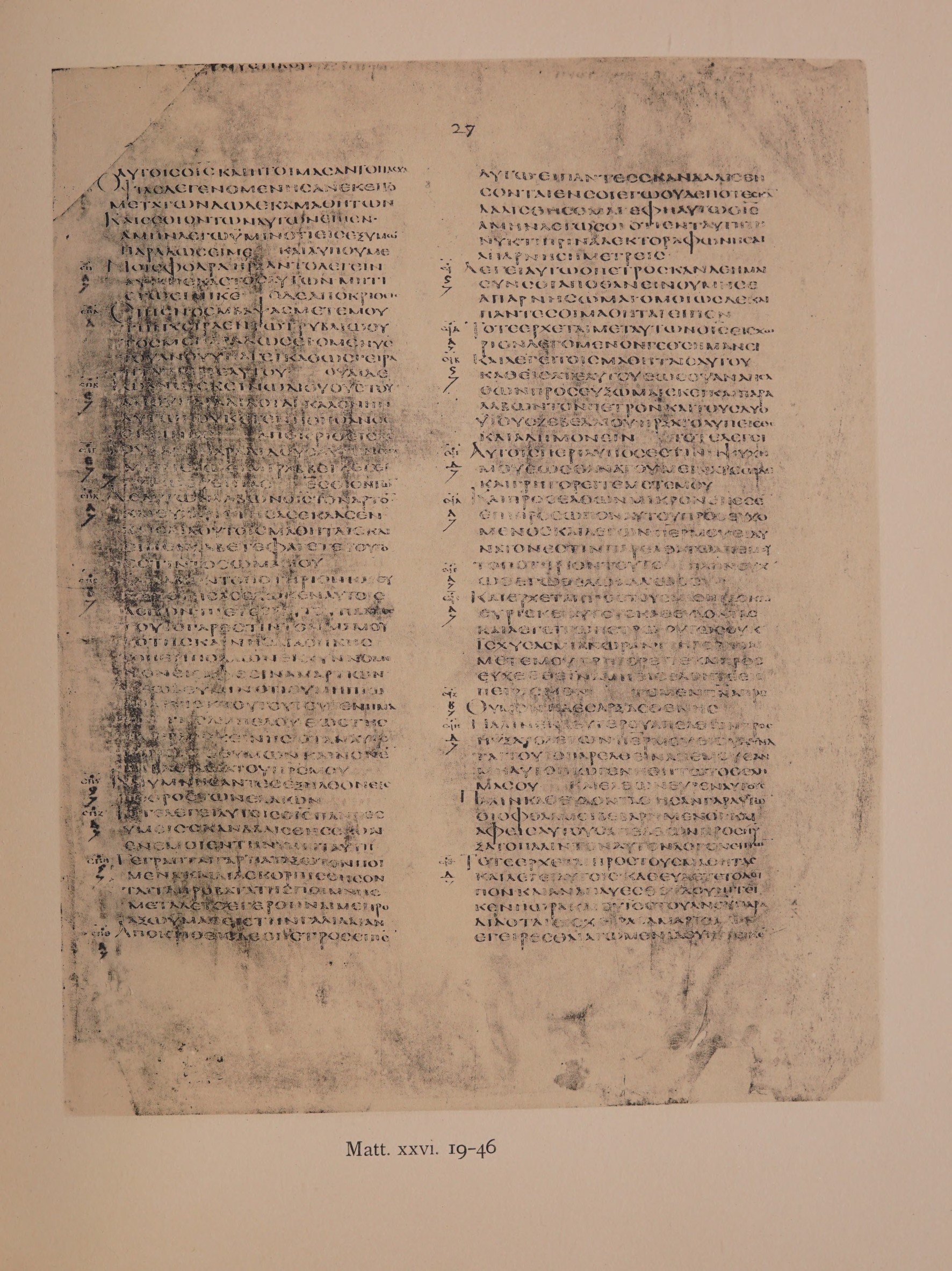 Scan alexandrinus/alex-f027r-leaf019.jpg