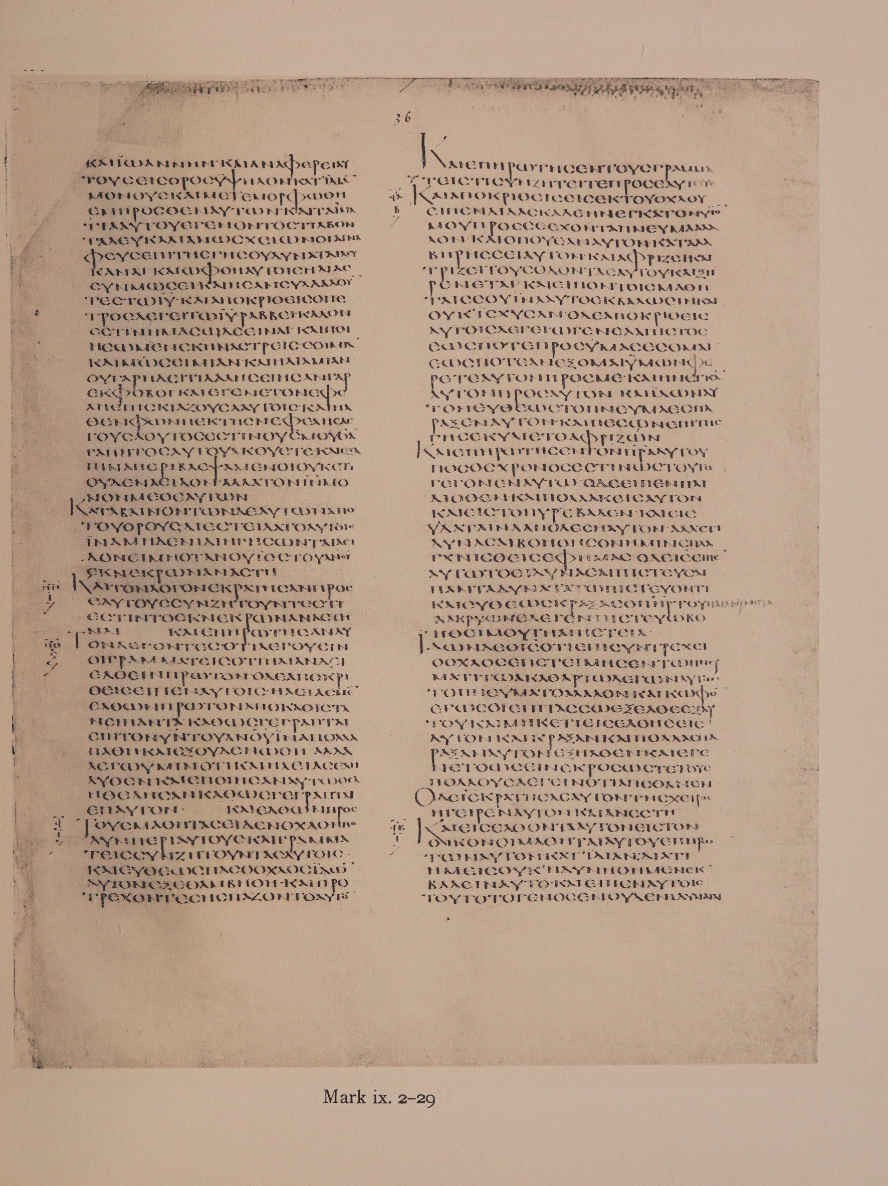 Scan alexandrinus/alex-f036r-leaf037.jpg