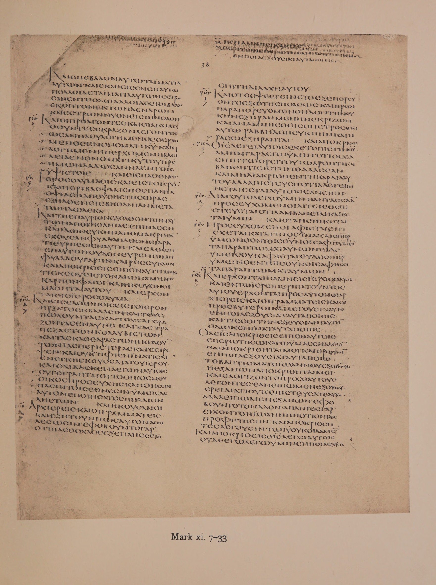 Scan alexandrinus/alex-f038r-leaf041.jpg