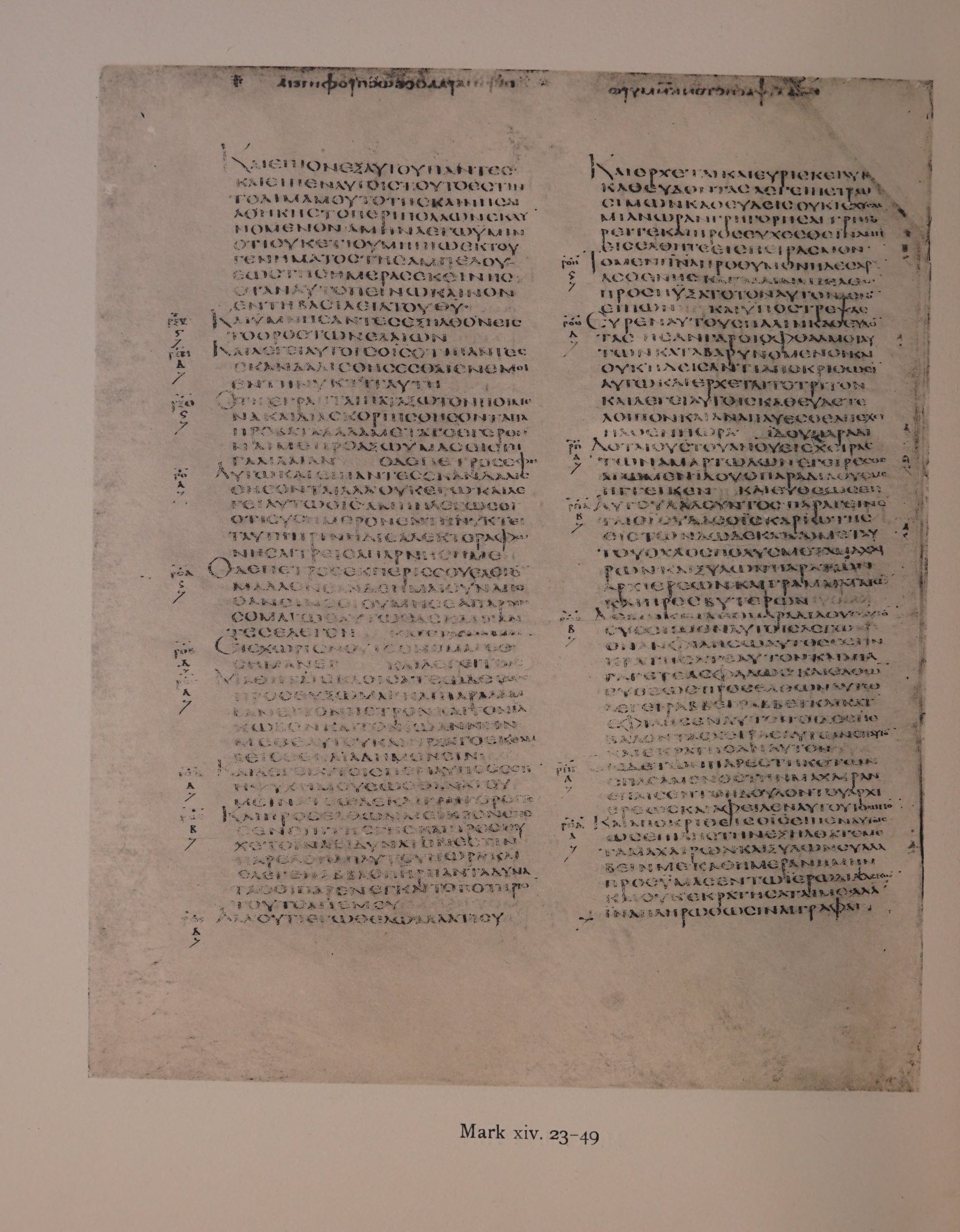 Scan alexandrinus/alex-f040v-leaf046.jpg