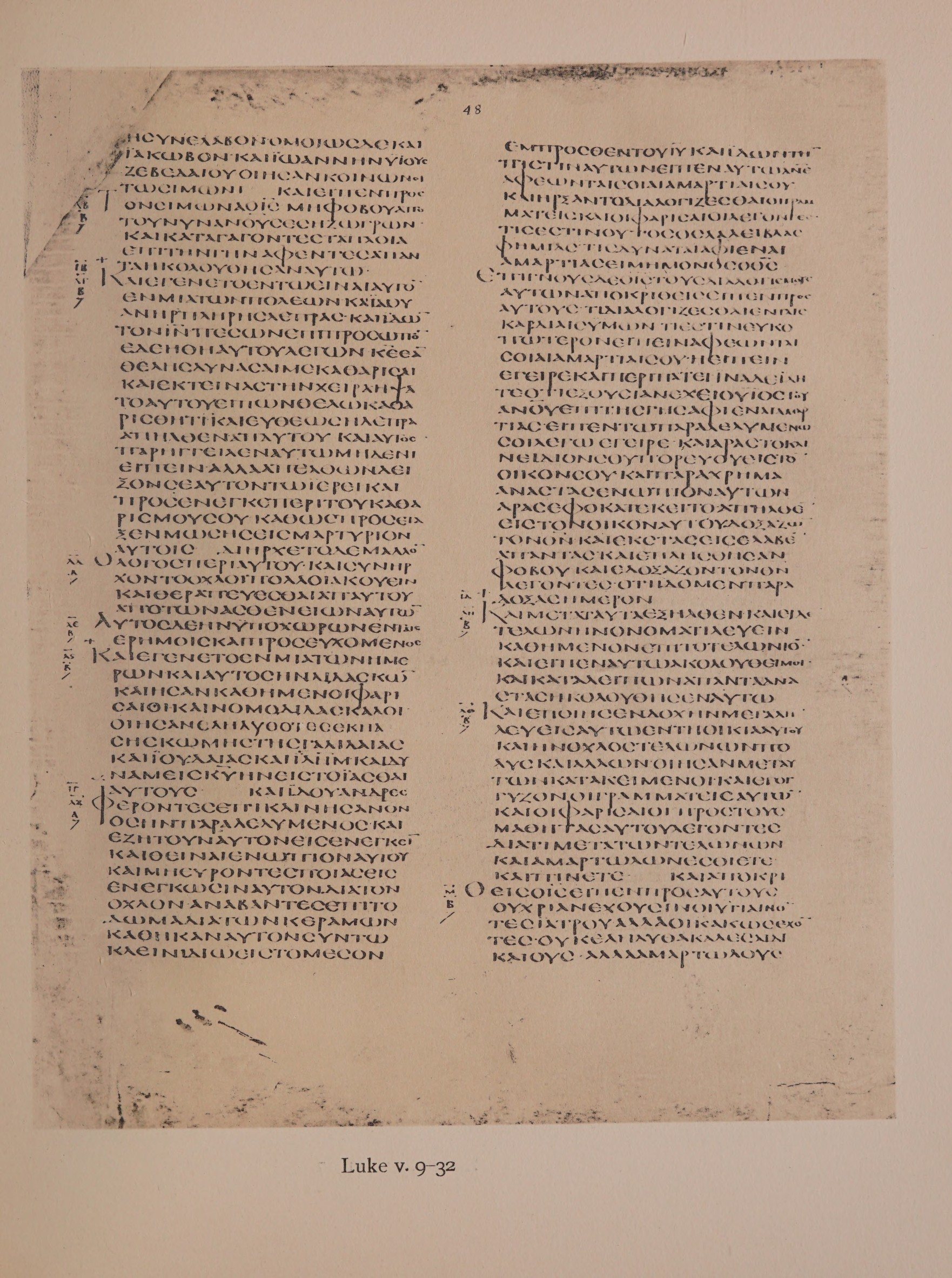 Scan alexandrinus/alex-f048r-leaf061.jpg