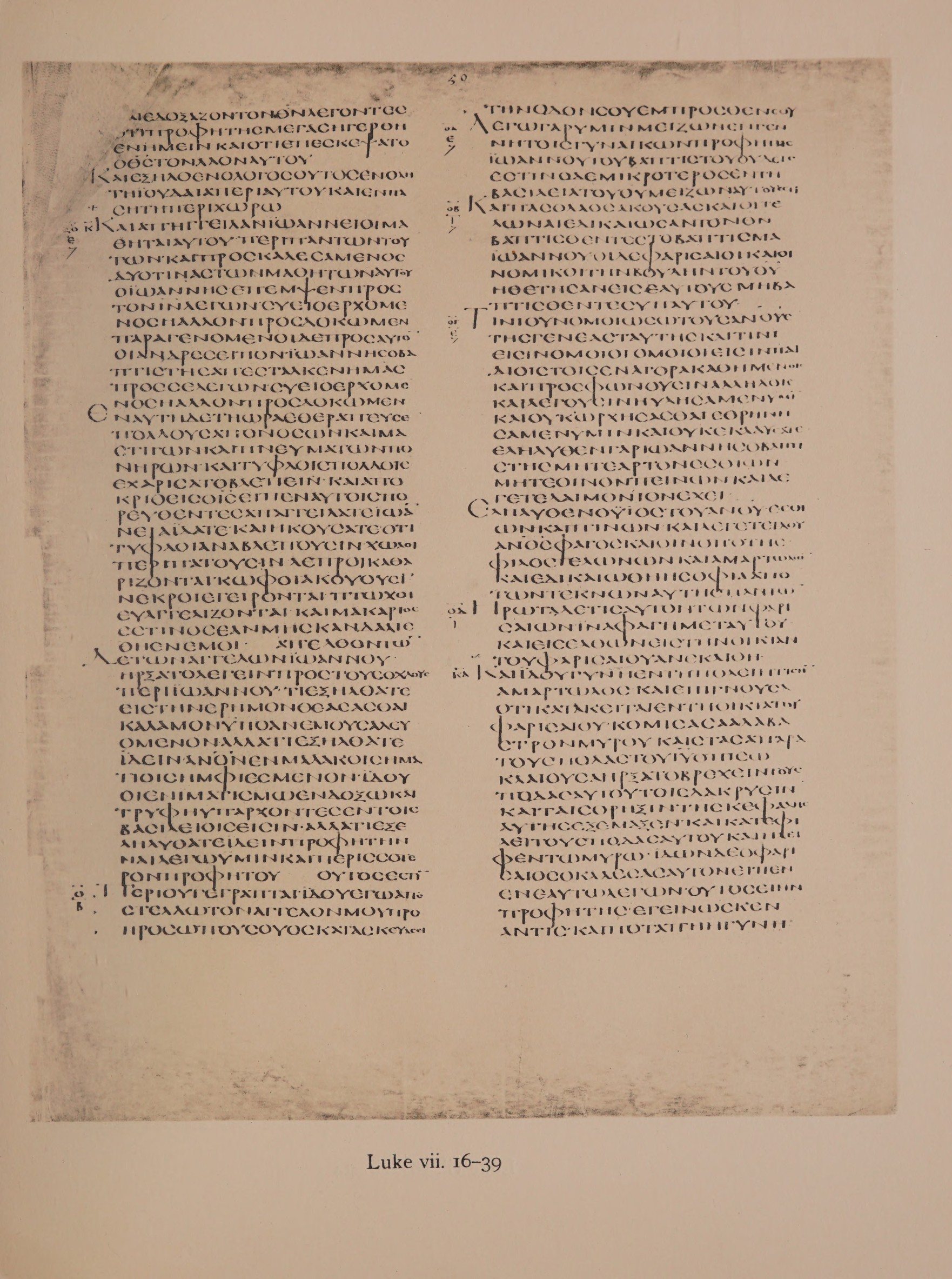 Scan alexandrinus/alex-f050r-leaf065.jpg
