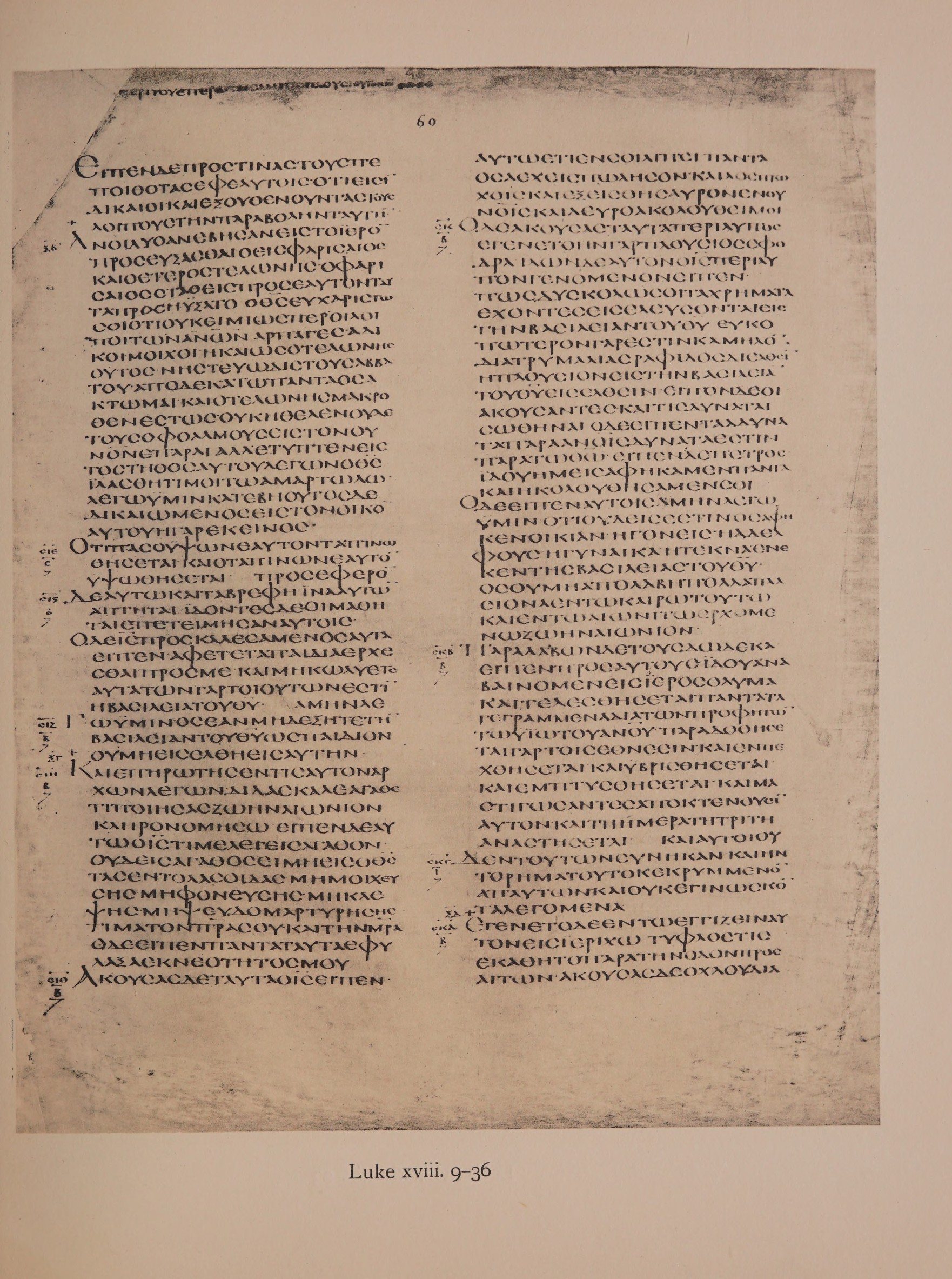 Scan alexandrinus/alex-f060r-leaf085.jpg