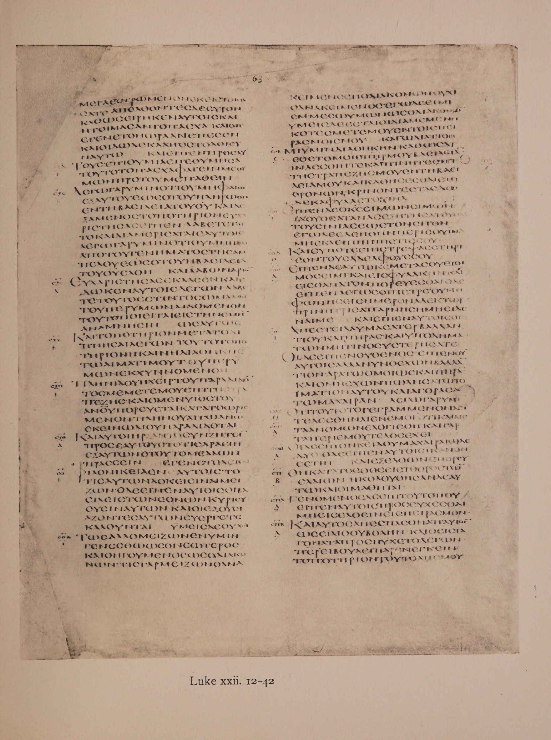 Scan alexandrinus/alex-f063r-leaf091.jpg