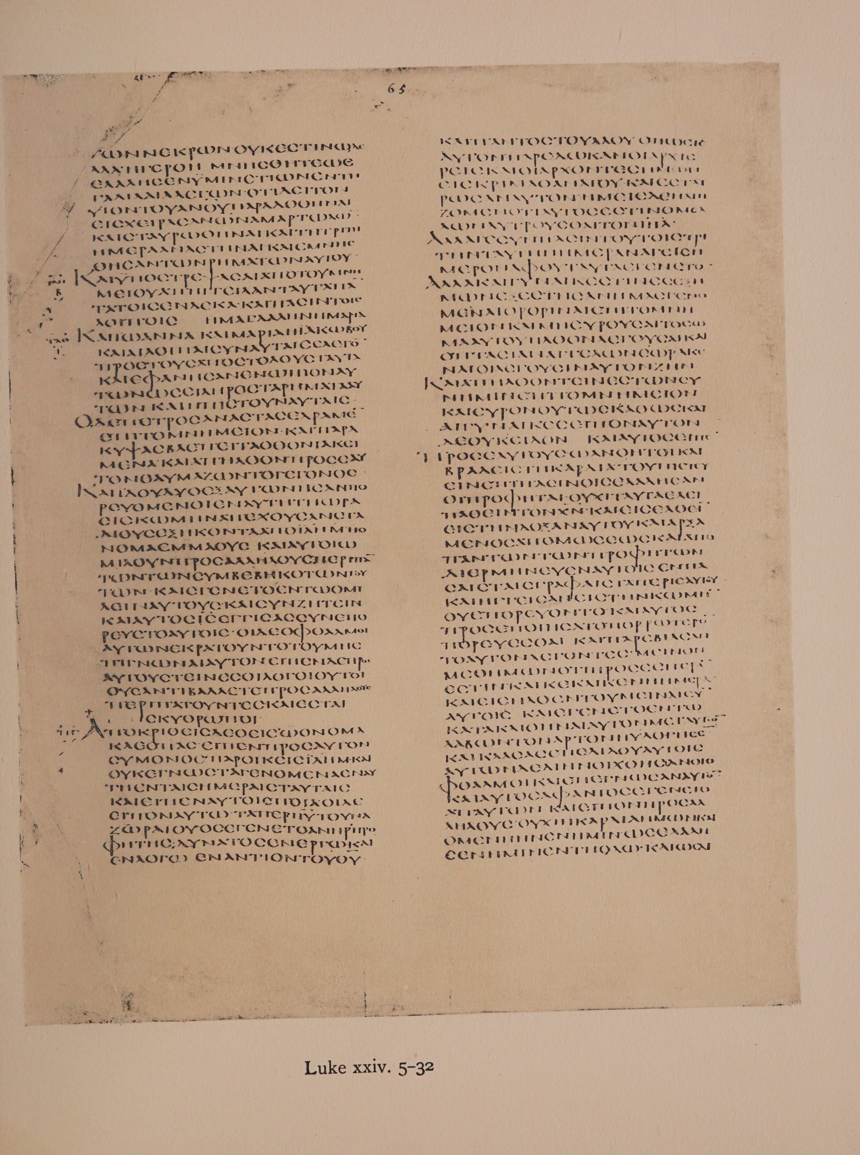 Scan alexandrinus/alex-f065r-leaf095.jpg