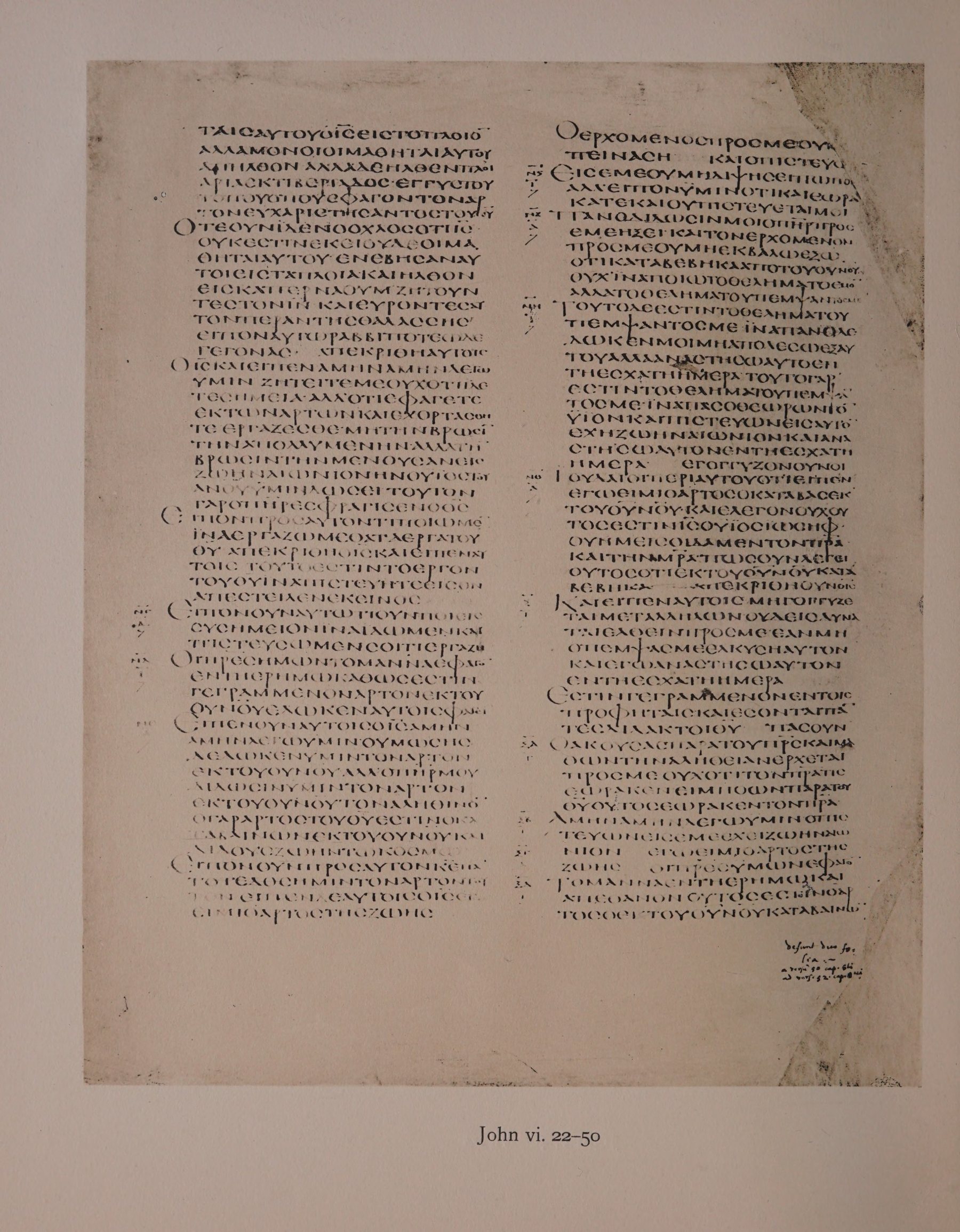 Scan alexandrinus/alex-f070v-leaf106.jpg