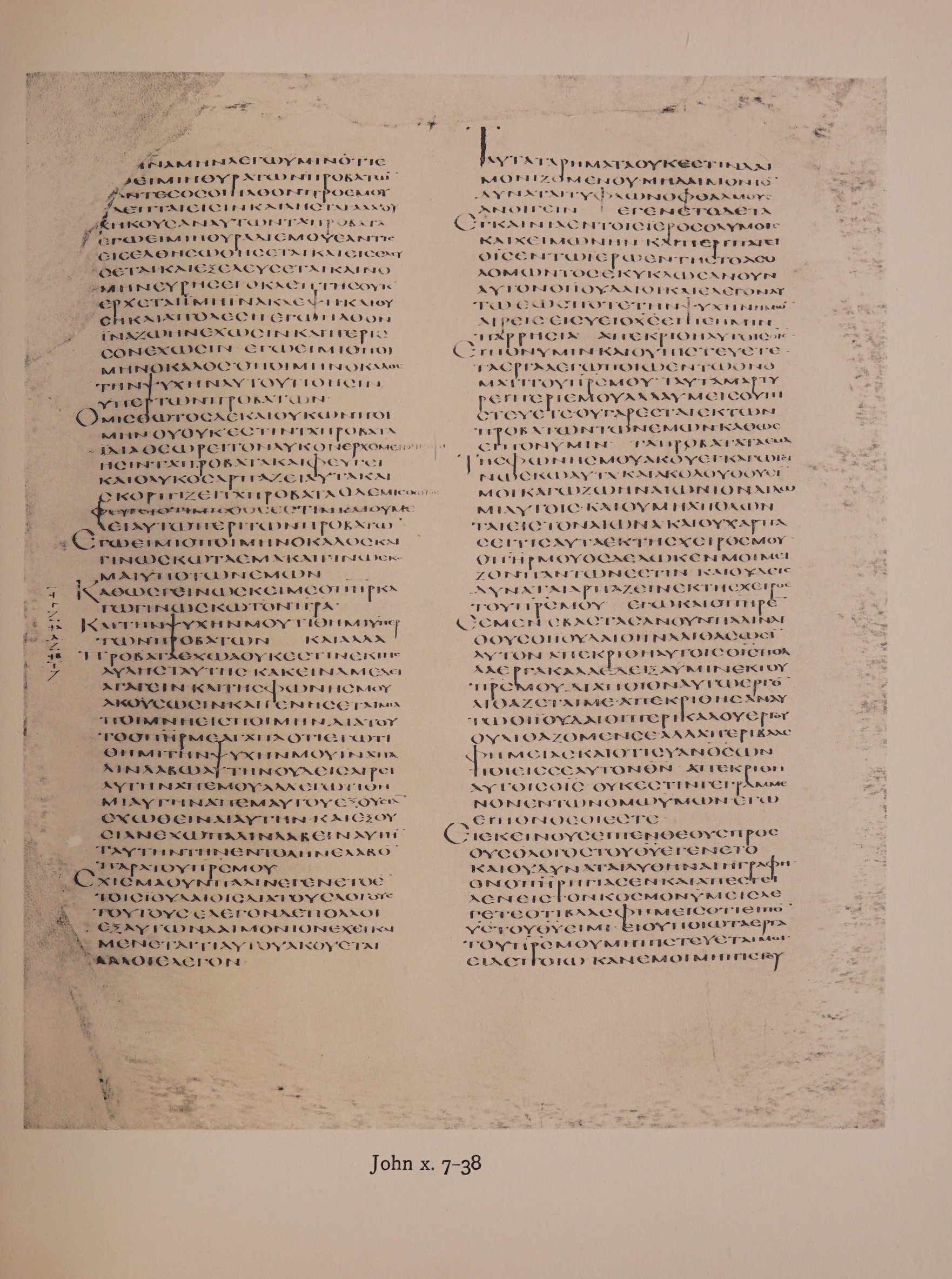 Scan alexandrinus/alex-f074r-leaf109.jpg