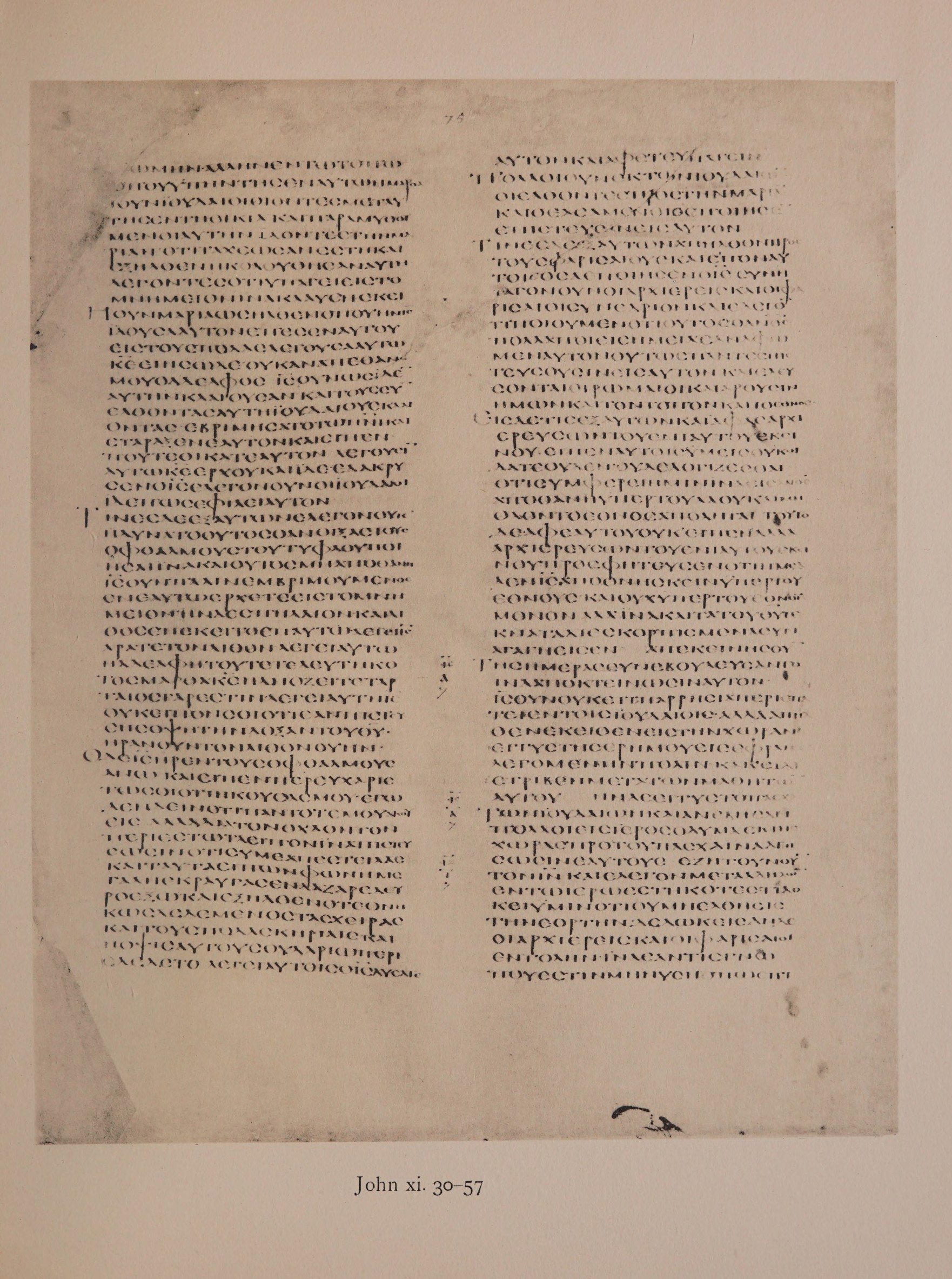 Scan alexandrinus/alex-f075r-leaf111.jpg