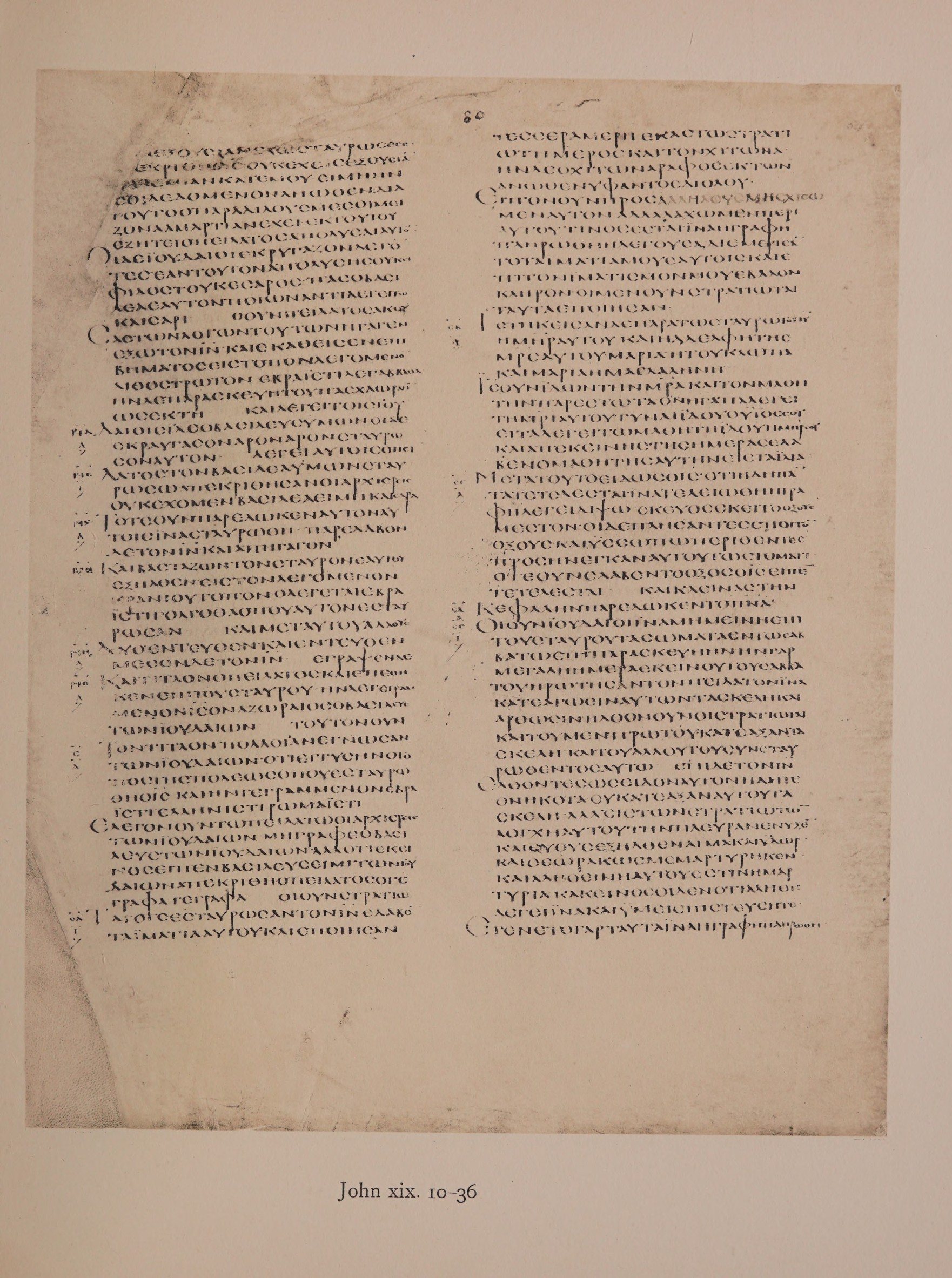 Scan alexandrinus/alex-f080r-leaf121.jpg