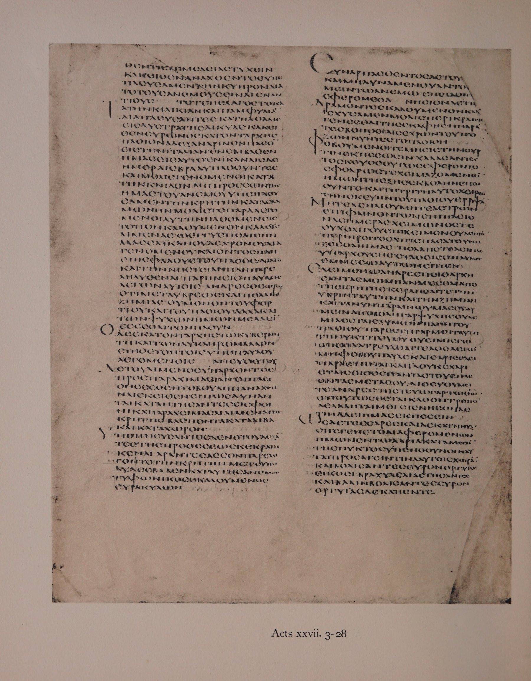 Scan alexandrinus/alex-f100v-leaf162.jpg