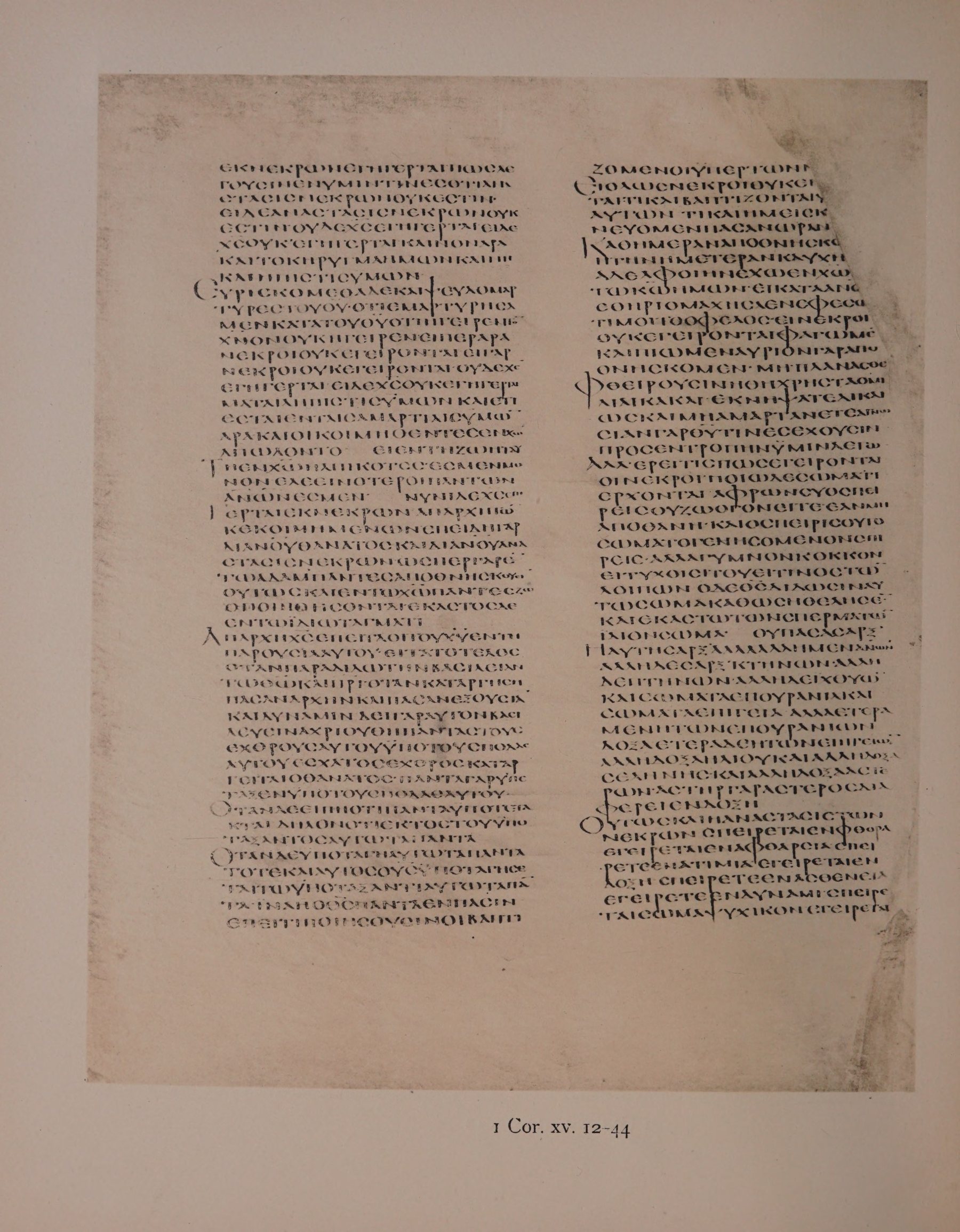 Scan alexandrinus/alex-f124v-leaf210.jpg