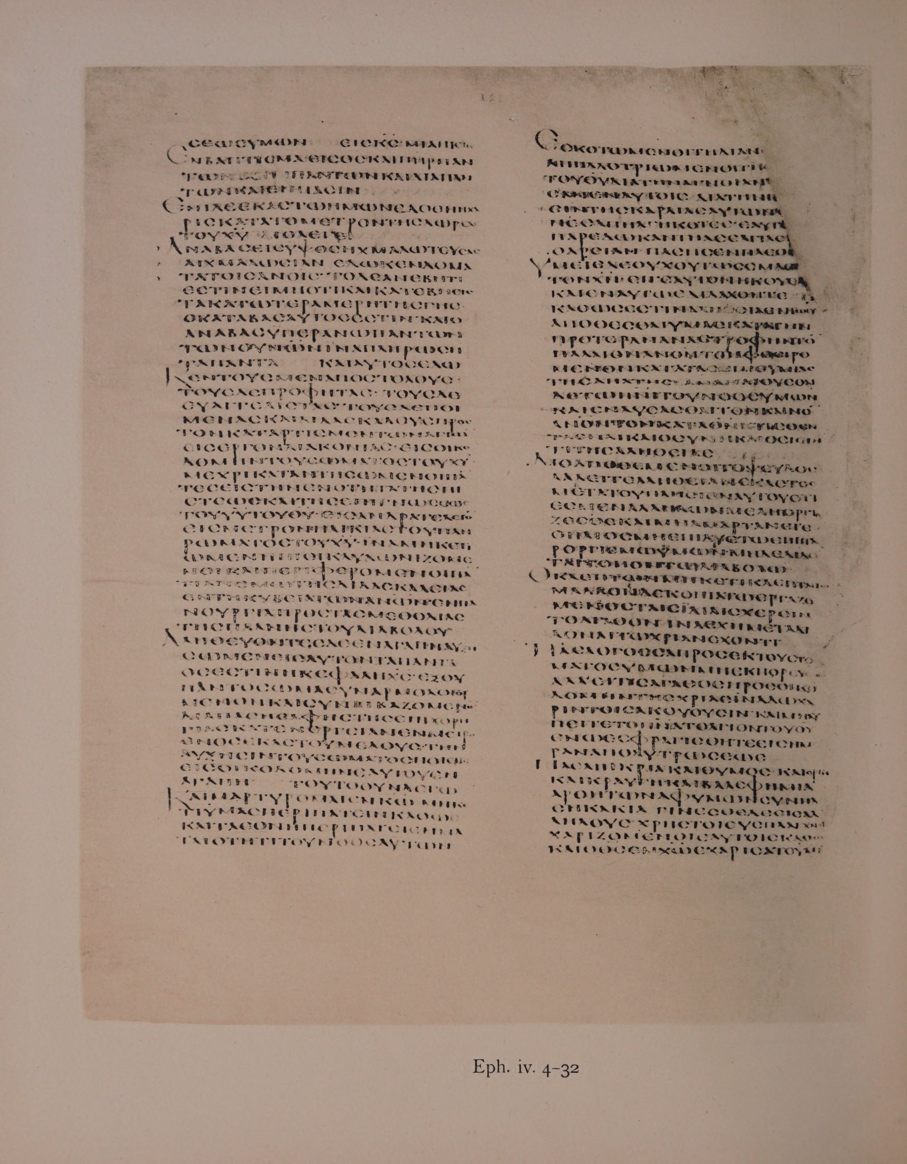 Scan alexandrinus/alex-f131v-leaf224.jpg