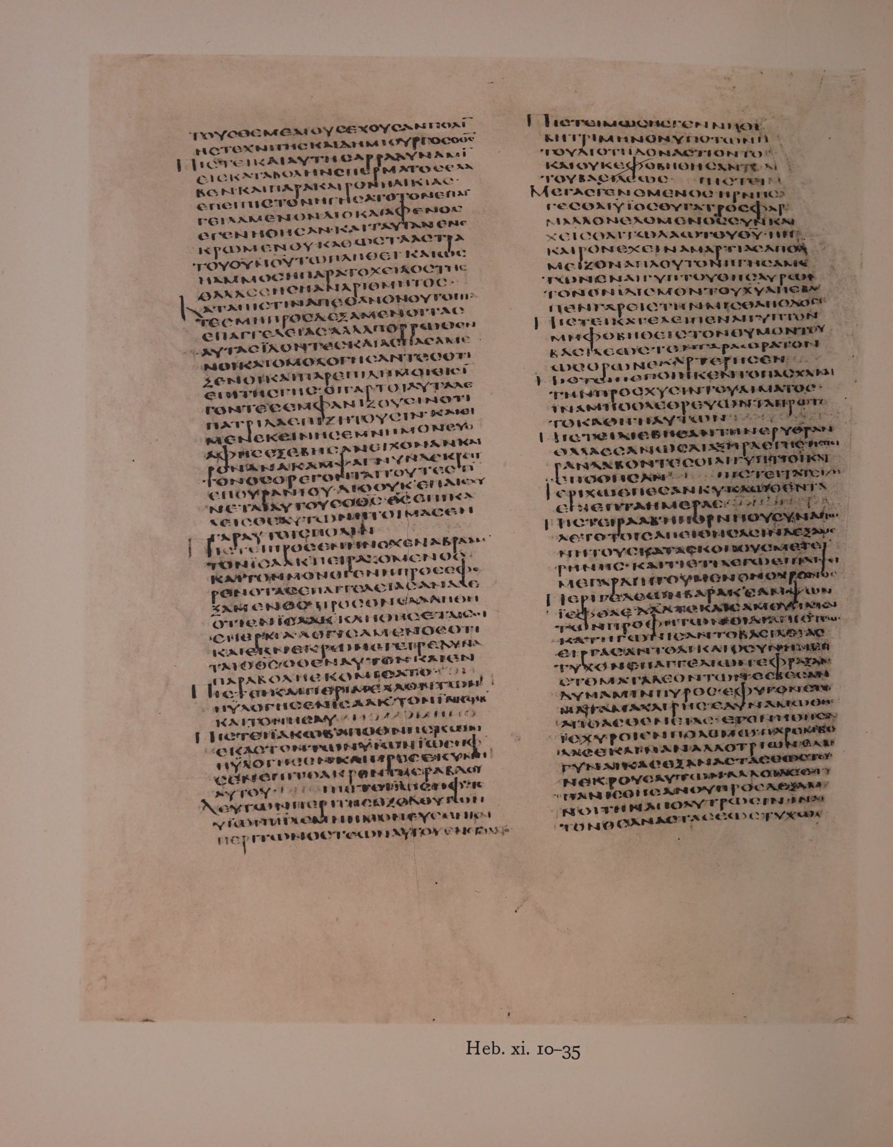 Scan alexandrinus/alex-f142v-leaf248.jpg