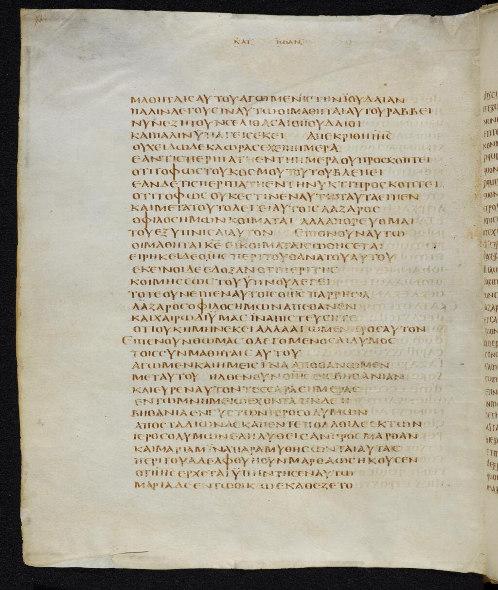Scan bezae/bezae-john-11-146v.jpg