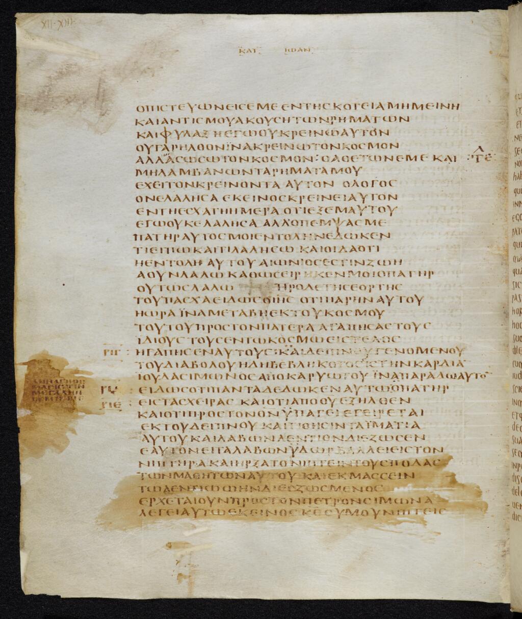 Scan bezae/bezae-john-12-154v.jpg