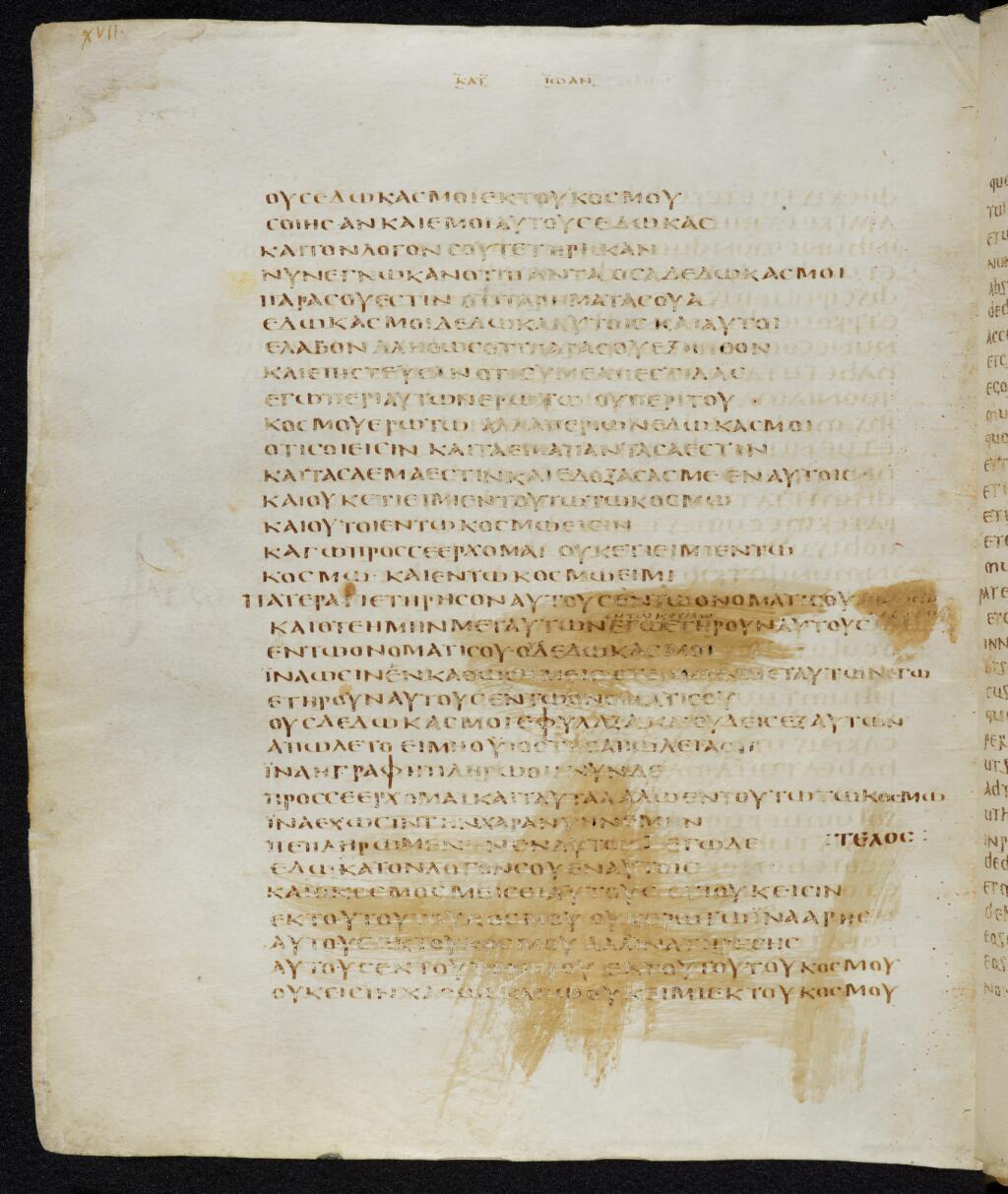 Scan bezae/bezae-john-17-166v.jpg