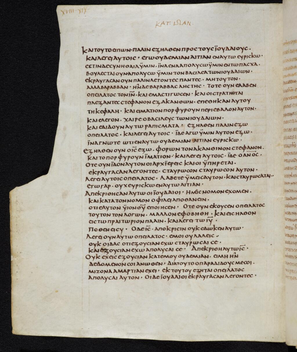 Scan bezae/bezae-john-18-171vSuppl.jpg