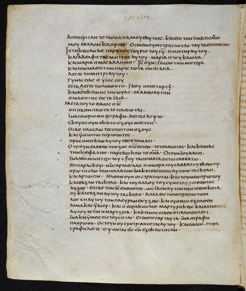 Scan bezae/bezae-john-19-173vSuppl.jpg