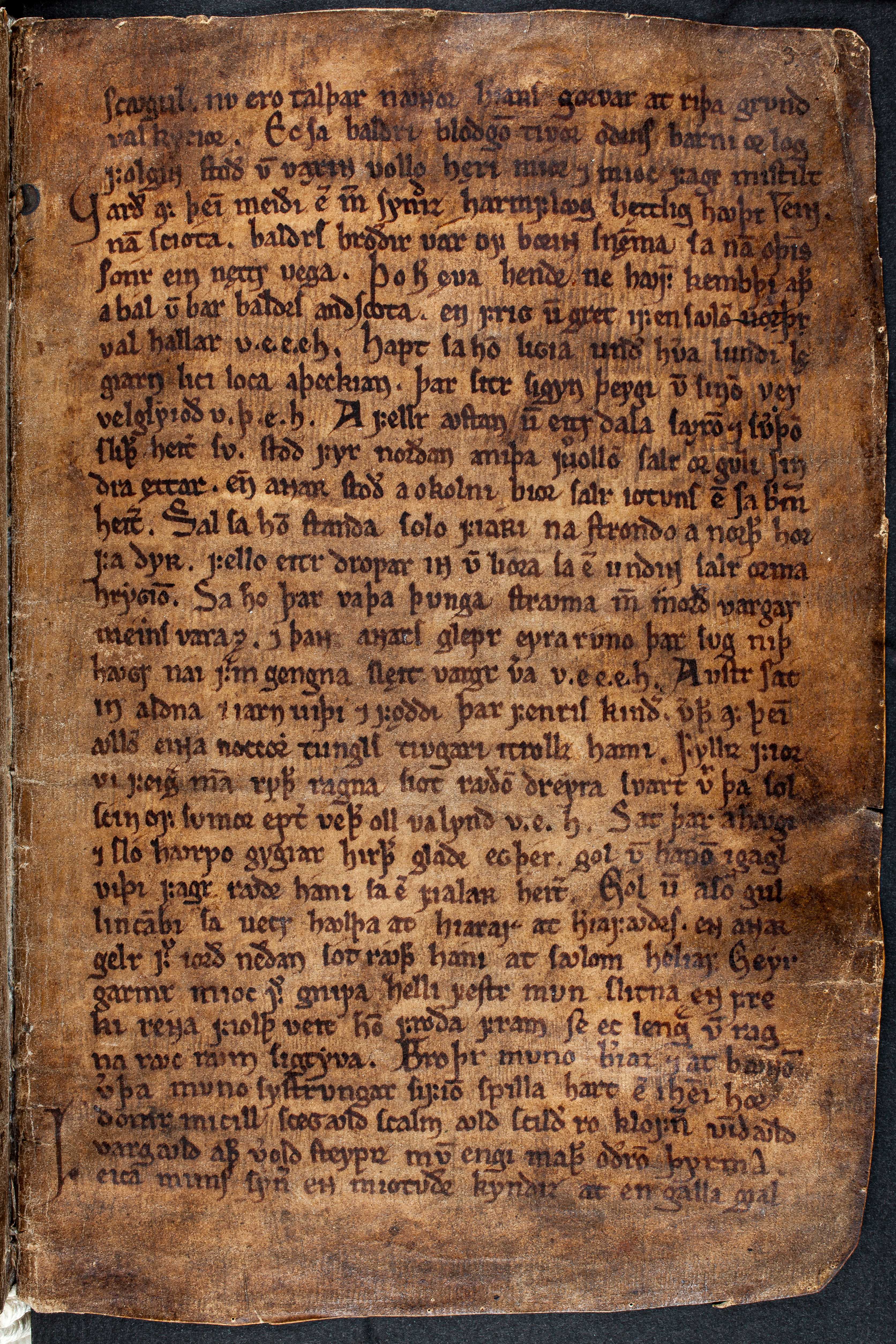 Scan codex-regius/codex-regius-p12.jpg