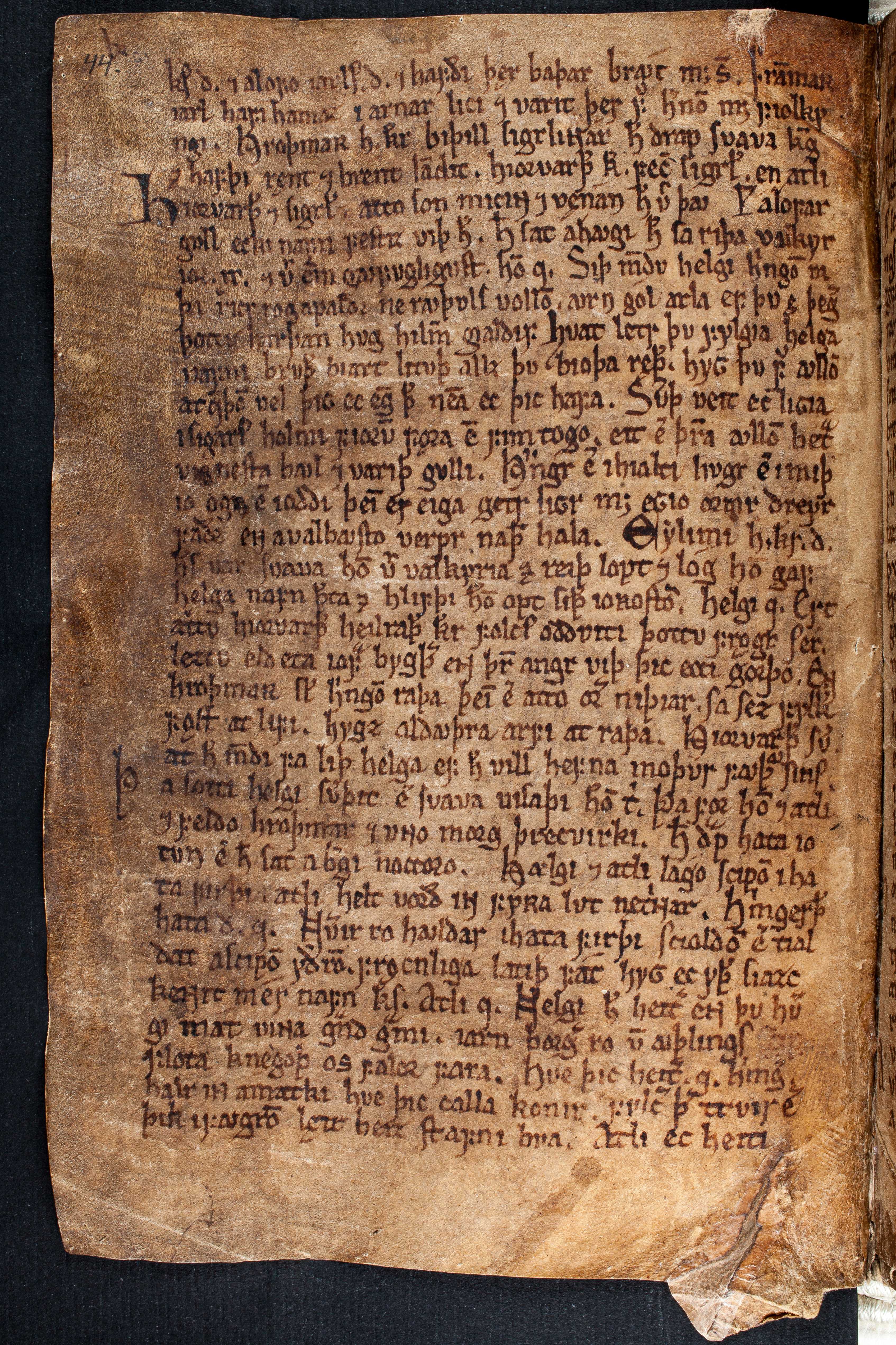 Scan codex-regius/codex-regius-p53.jpg