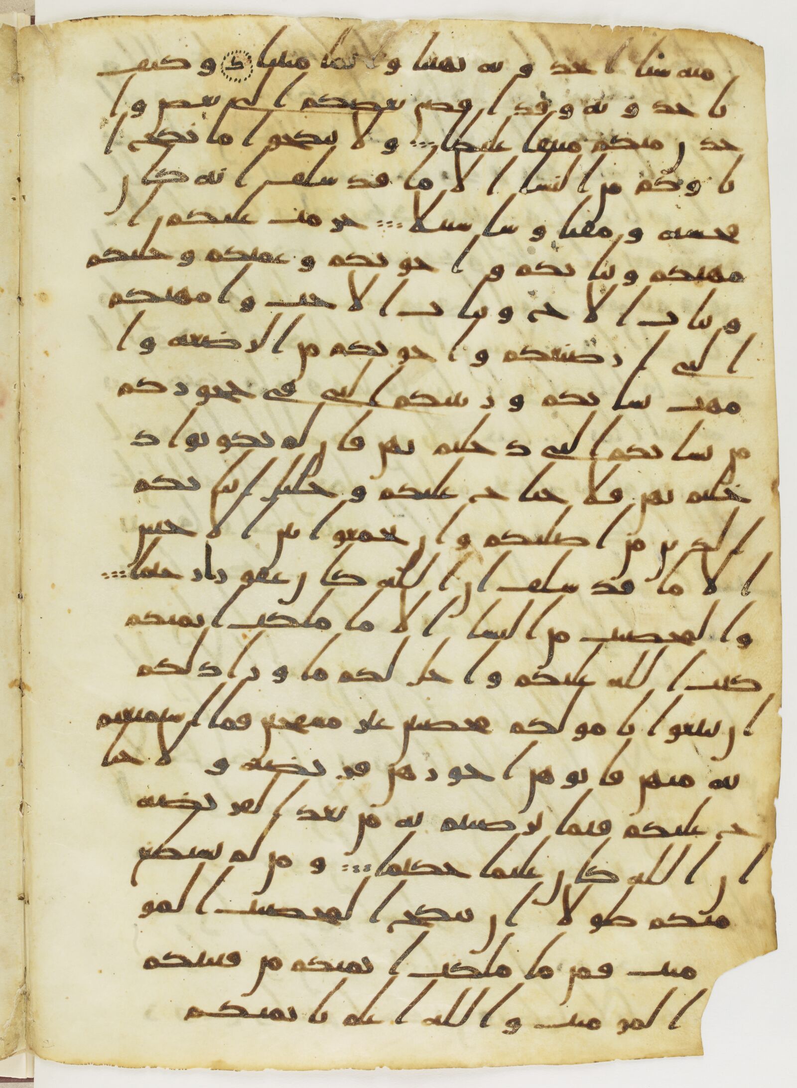 Scan parisino-petropolitanus/pp-f11v.jpg