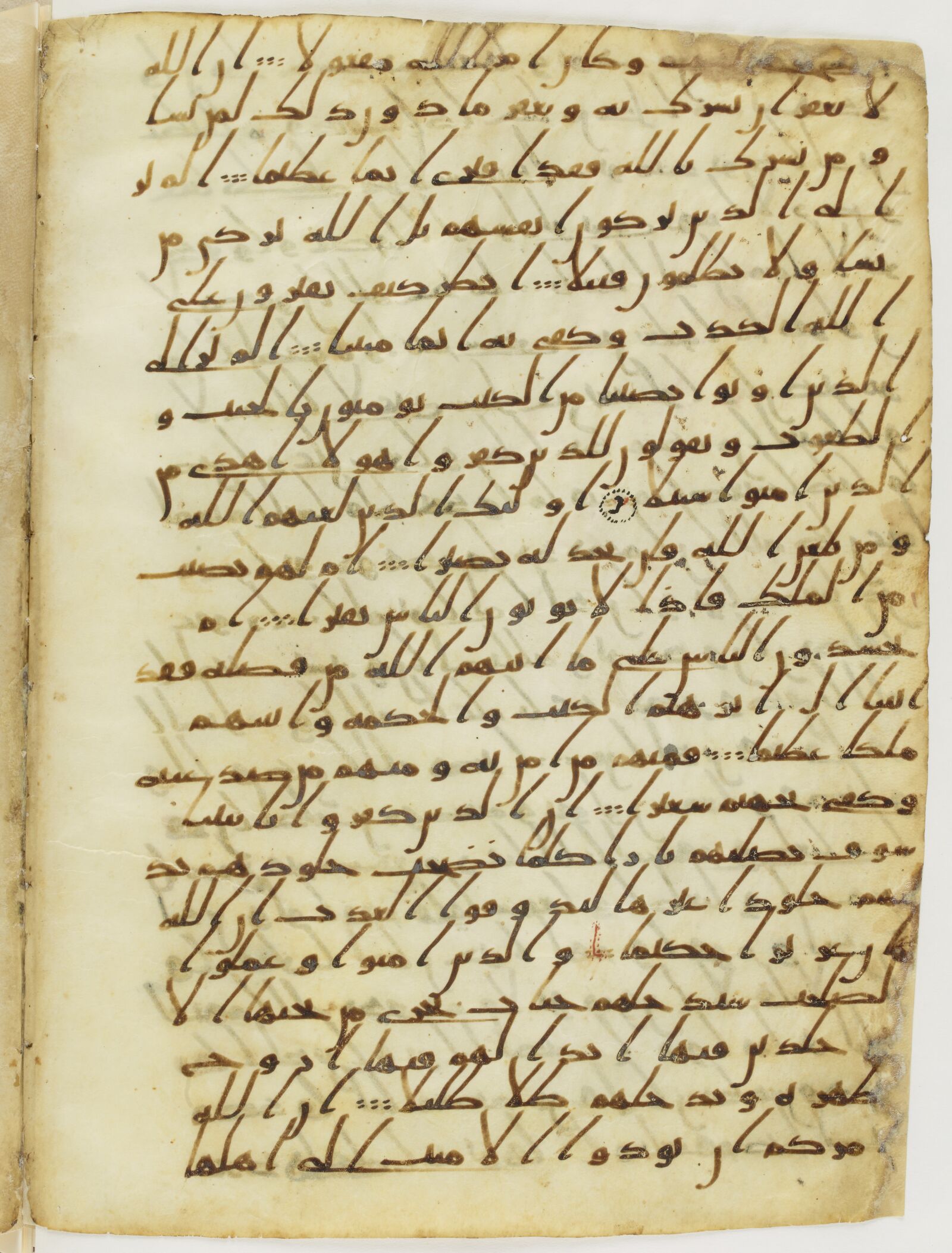 Scan parisino-petropolitanus/pp-f13v.jpg