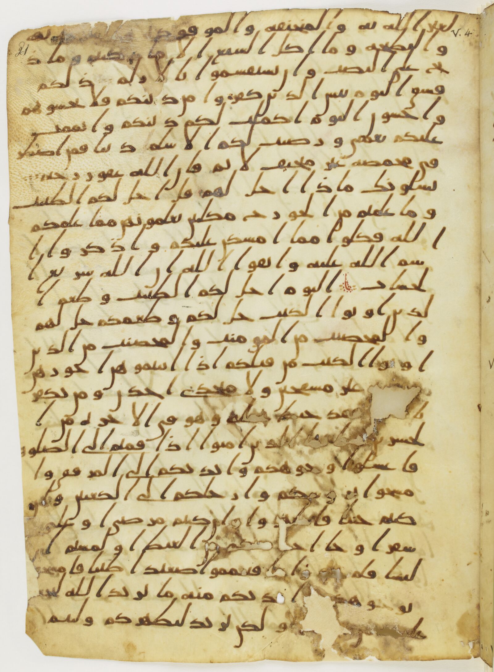 Scan parisino-petropolitanus/pp-f21r.jpg