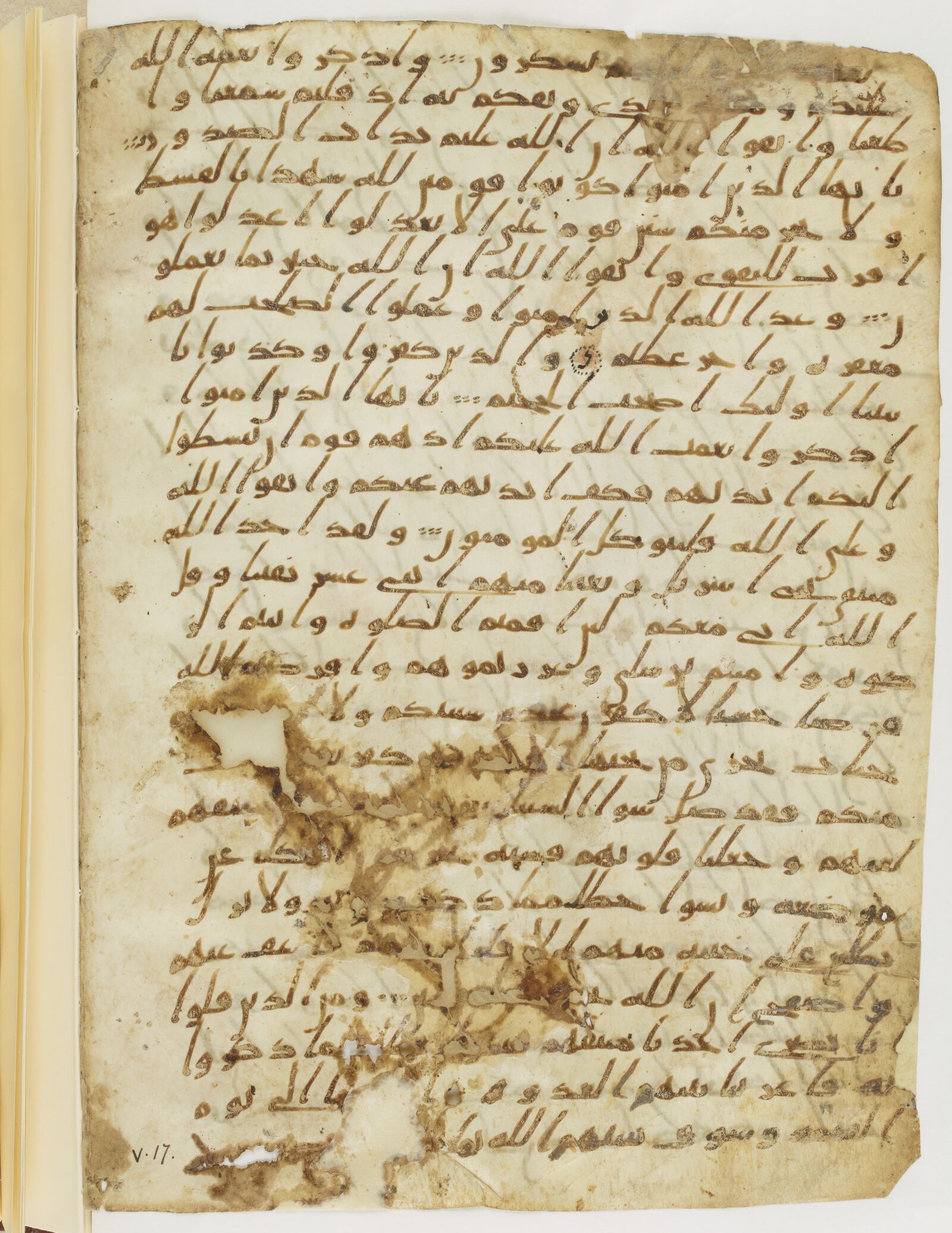 Scan parisino-petropolitanus/pp-f21v.jpg