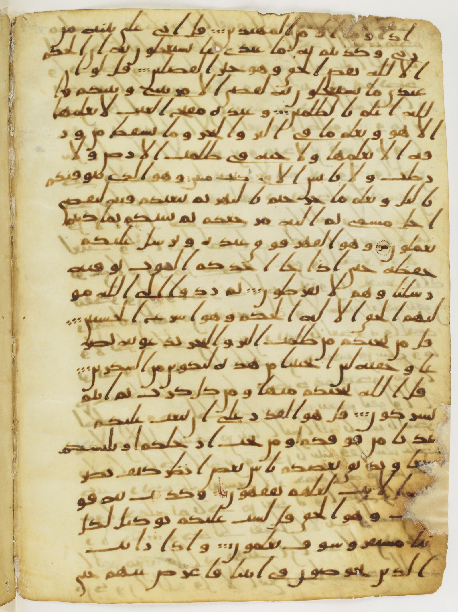 Scan parisino-petropolitanus/pp-f24v.jpg