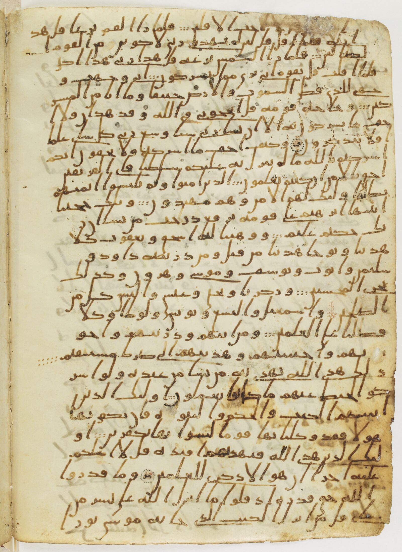 Scan parisino-petropolitanus/pp-f25v.jpg