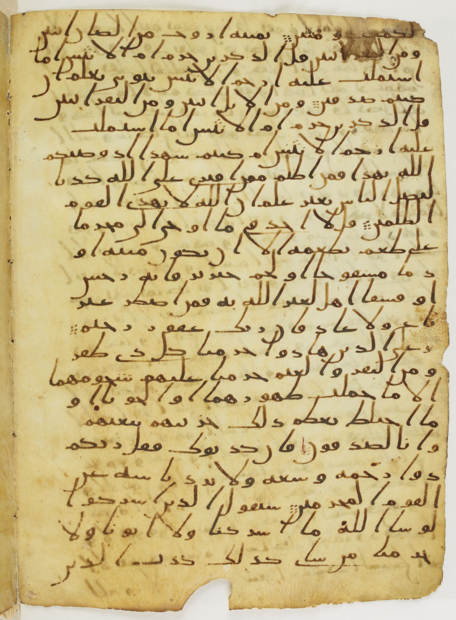 Scan parisino-petropolitanus/pp-f28v.jpg