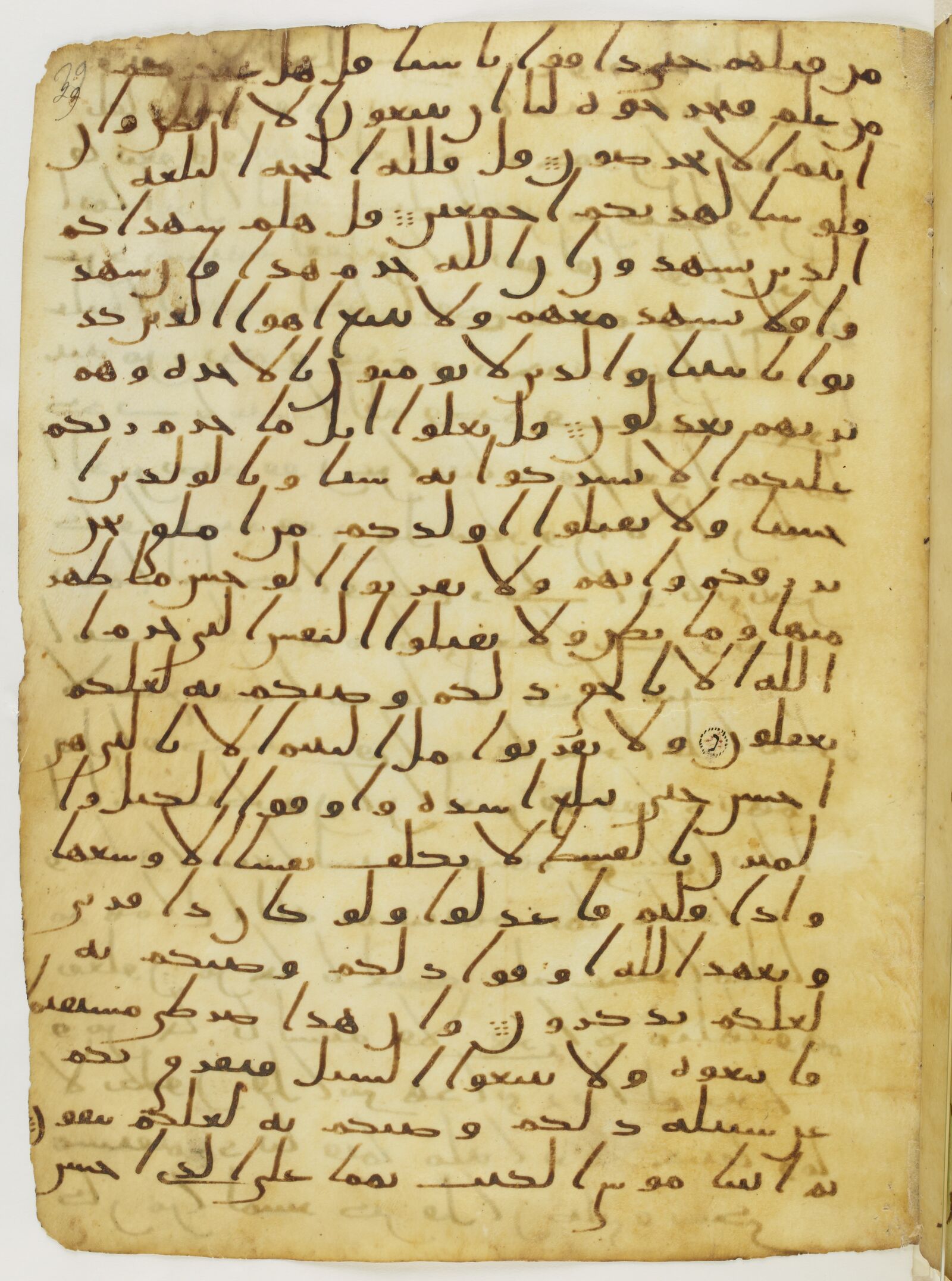 Scan parisino-petropolitanus/pp-f29r.jpg