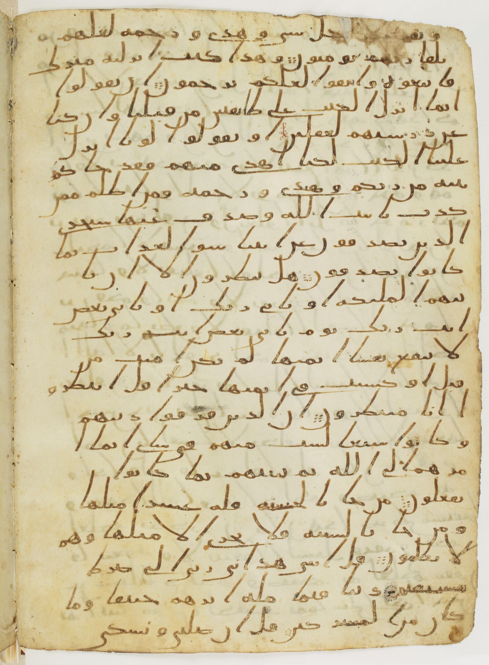 Scan parisino-petropolitanus/pp-f29v.jpg