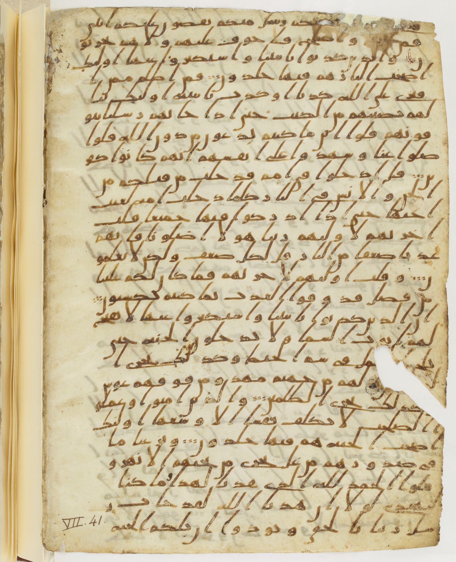 Scan parisino-petropolitanus/pp-f31v.jpg
