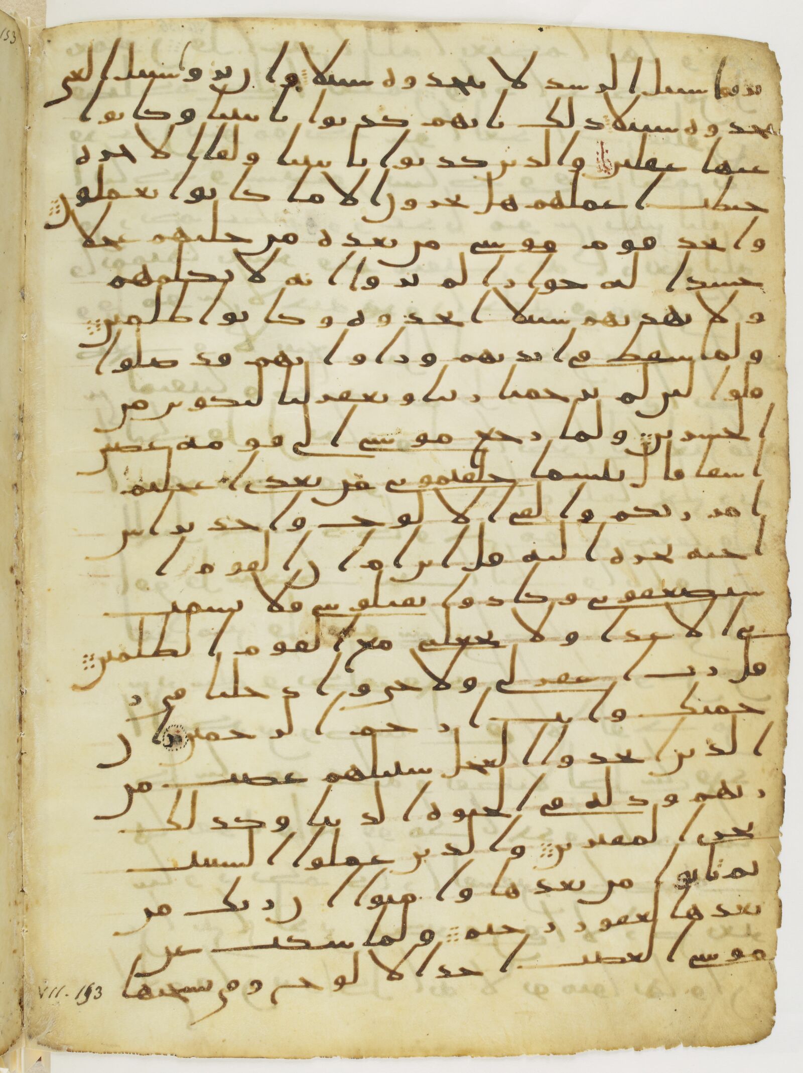 Scan parisino-petropolitanus/pp-f36v.jpg