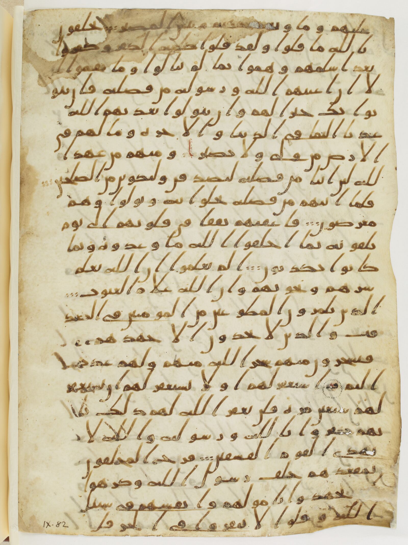 Scan parisino-petropolitanus/pp-f41v.jpg