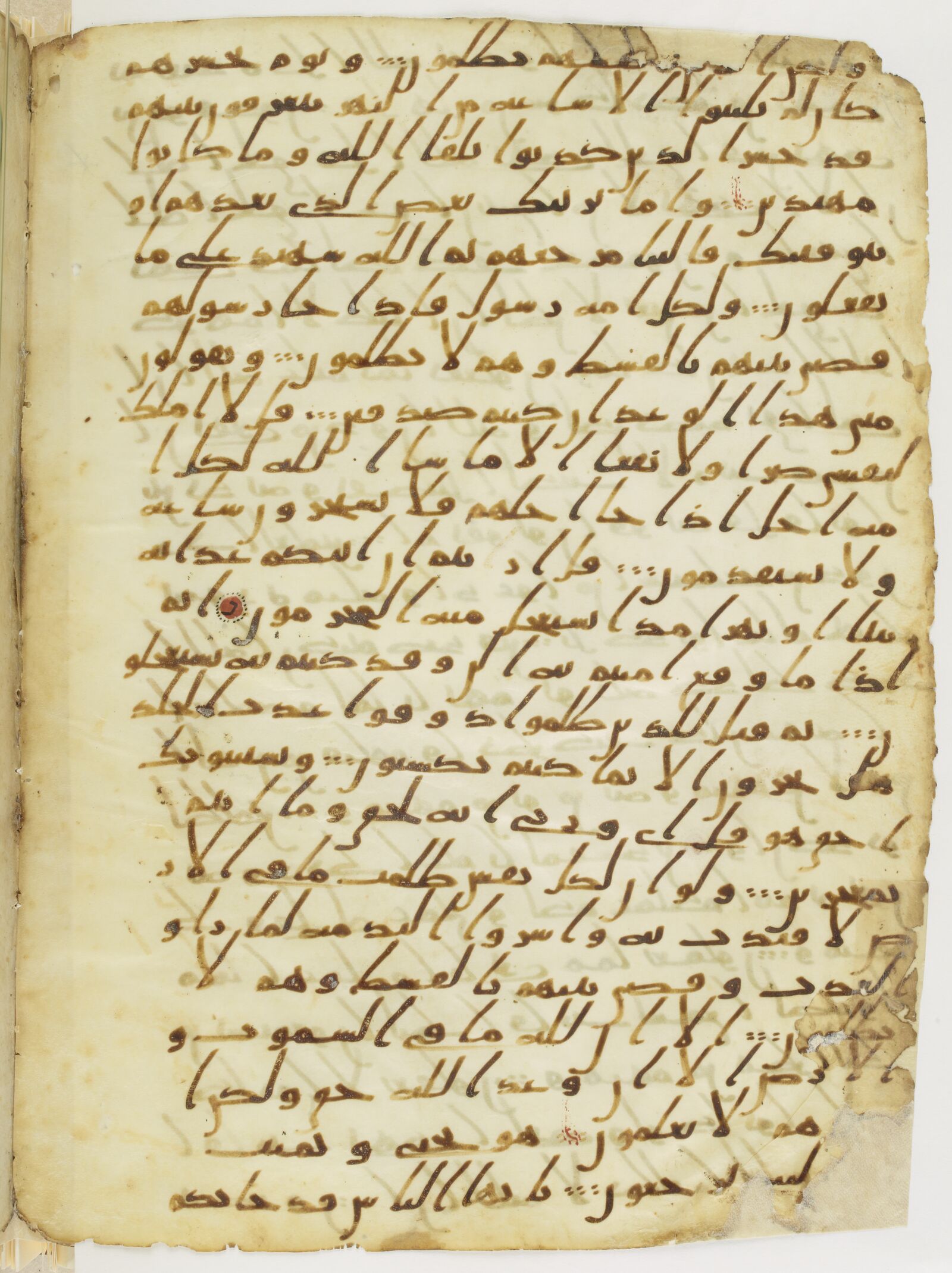 Scan parisino-petropolitanus/pp-f47v.jpg