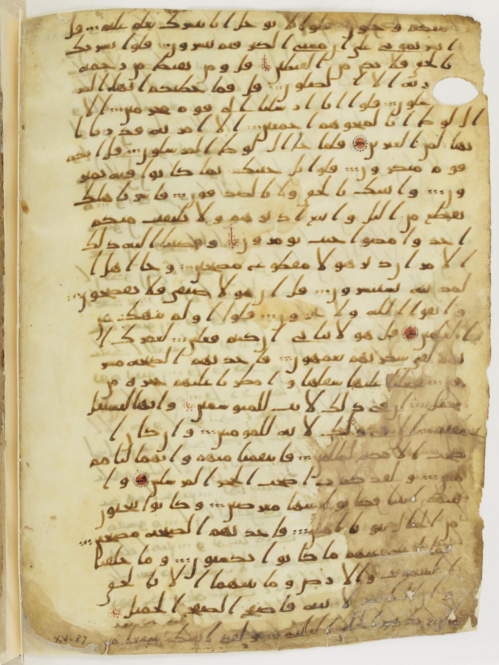 Scan parisino-petropolitanus/pp-f54v.jpg