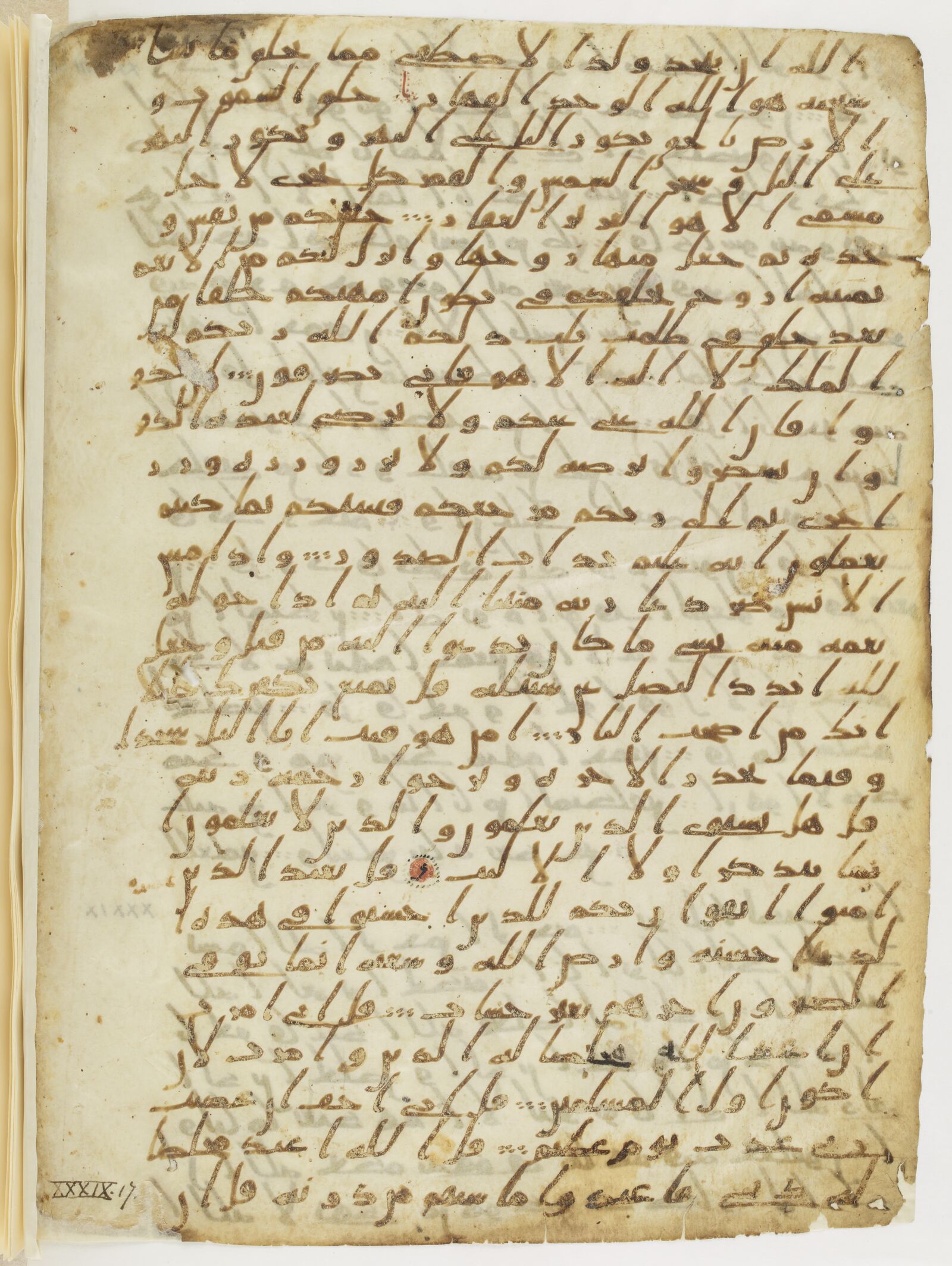 Scan parisino-petropolitanus/pp-f56v.jpg