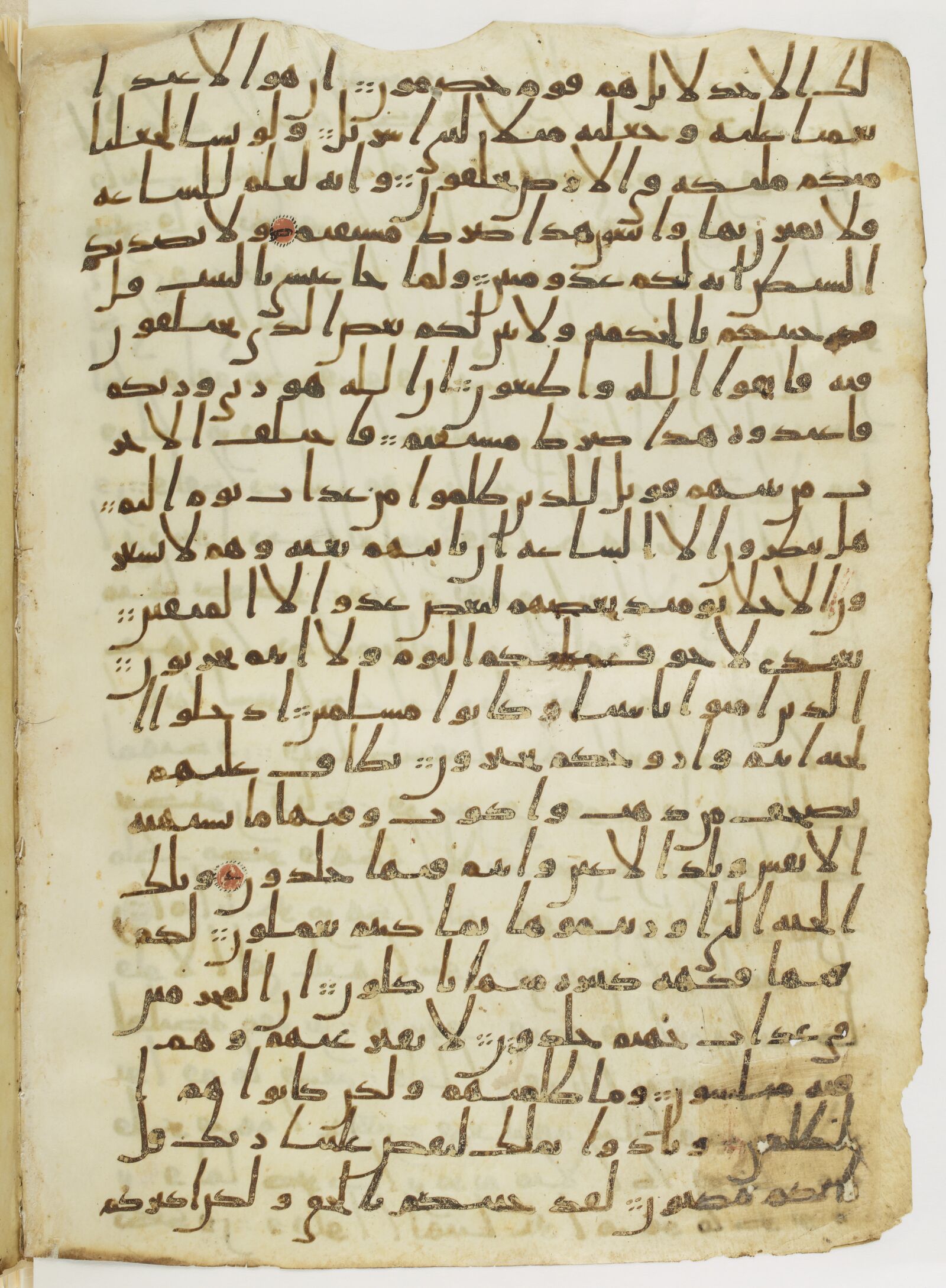 Scan parisino-petropolitanus/pp-f61v.jpg