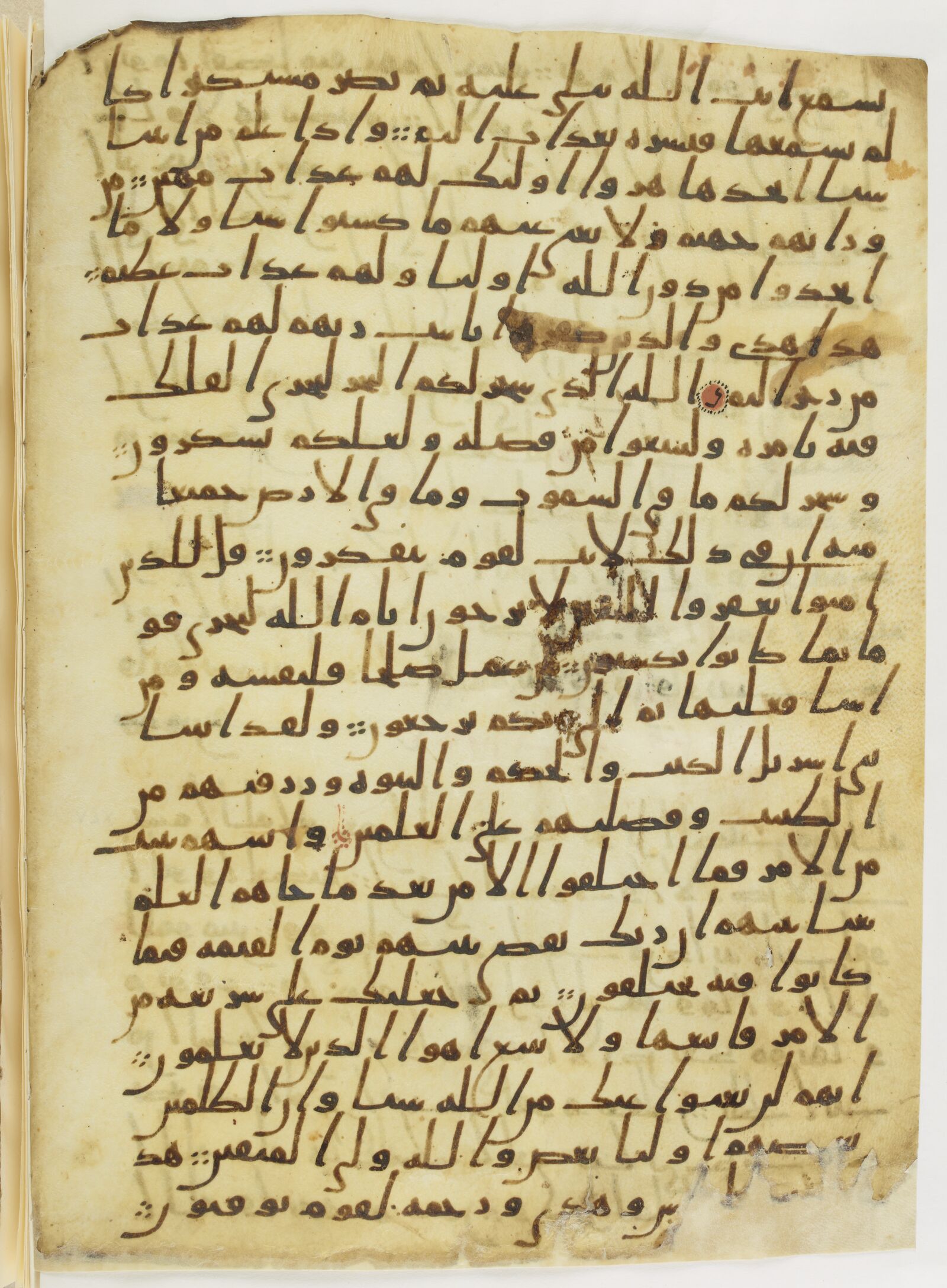Scan parisino-petropolitanus/pp-f63v.jpg