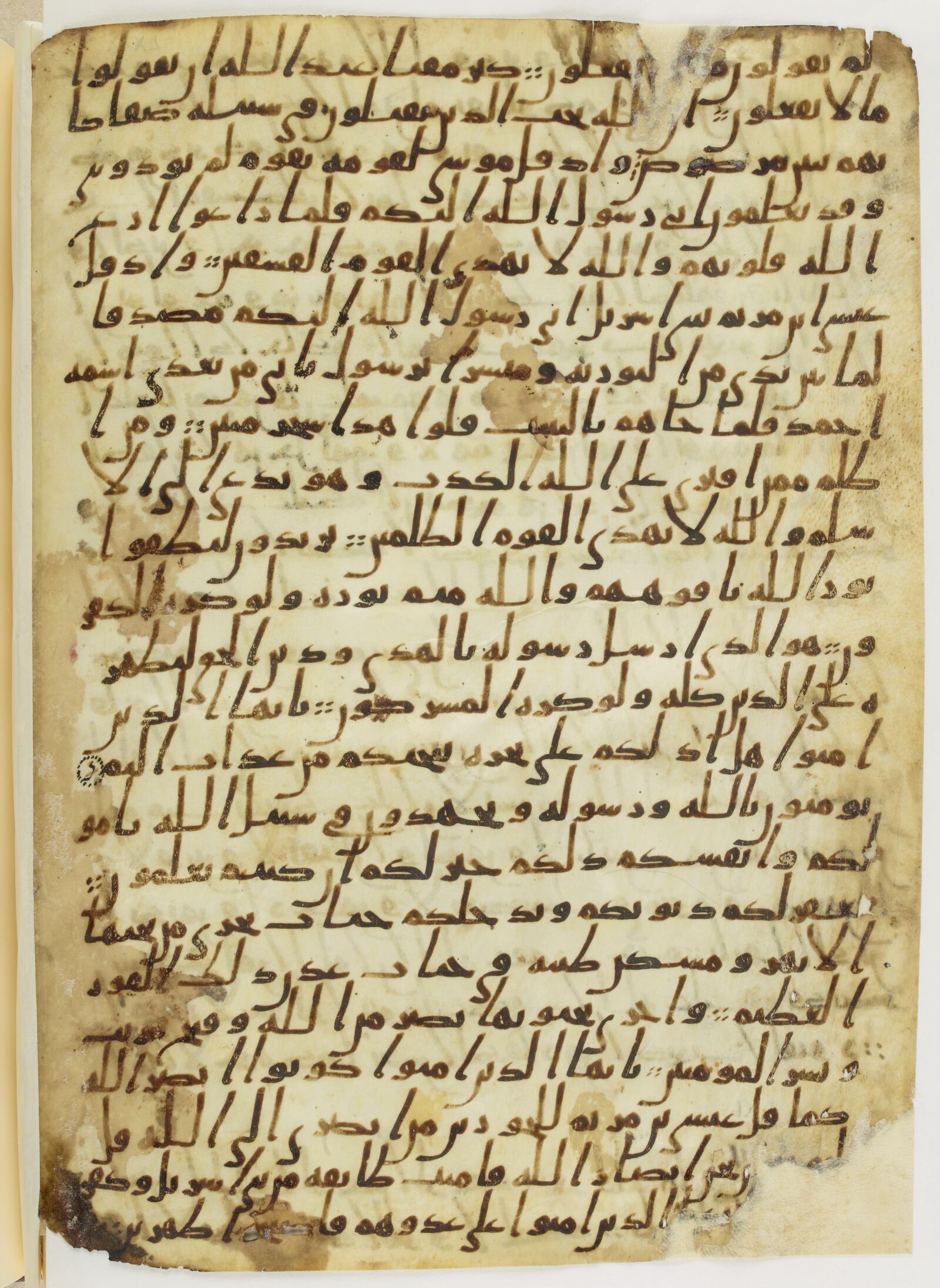 Scan parisino-petropolitanus/pp-f65v.jpg
