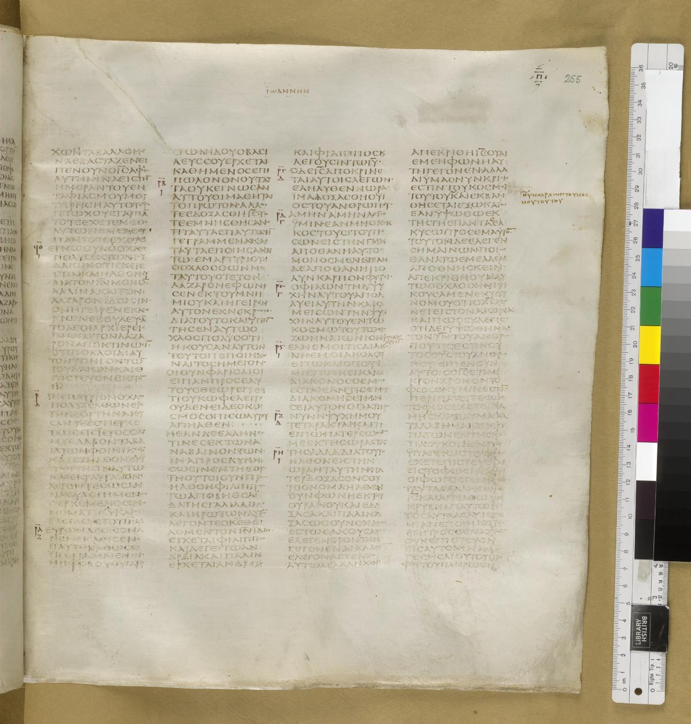 Scan sinaiticus-folios/john-12-Q81_1r_B537.jpg