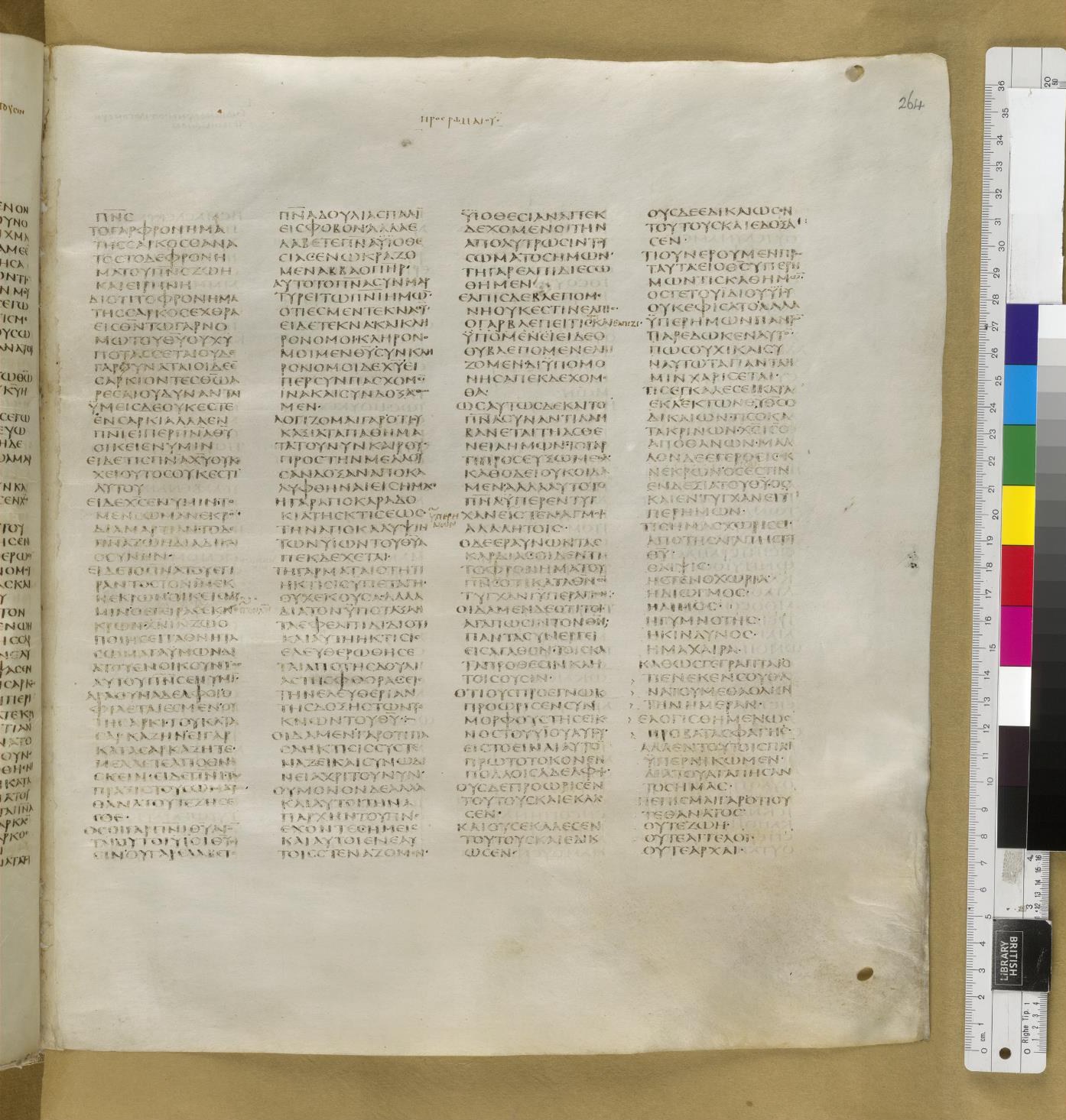 Scan sinaiticus-folios/romans-8-Q82_4r_B555.jpg