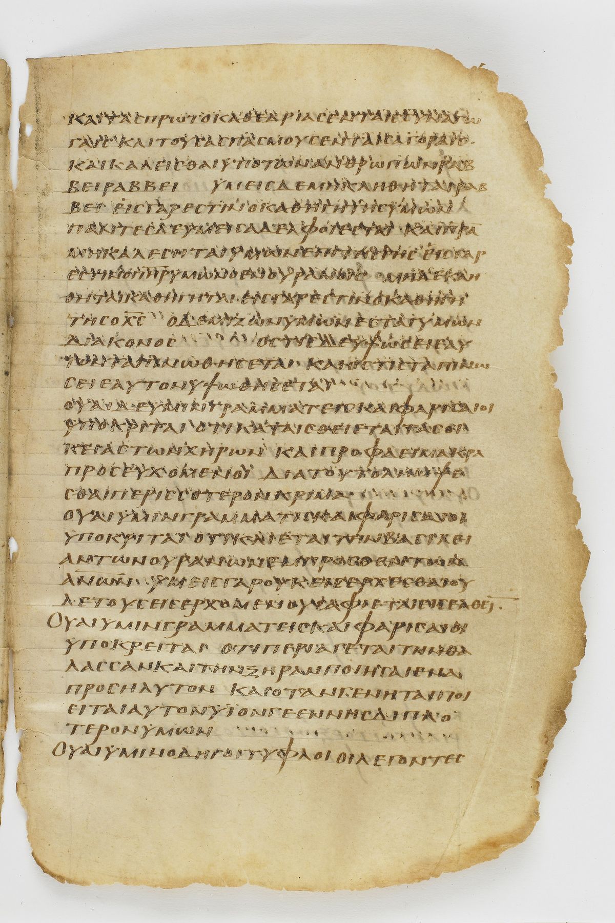 Scan washingtonianus/w-p0085-FS-7135_05.jpg
