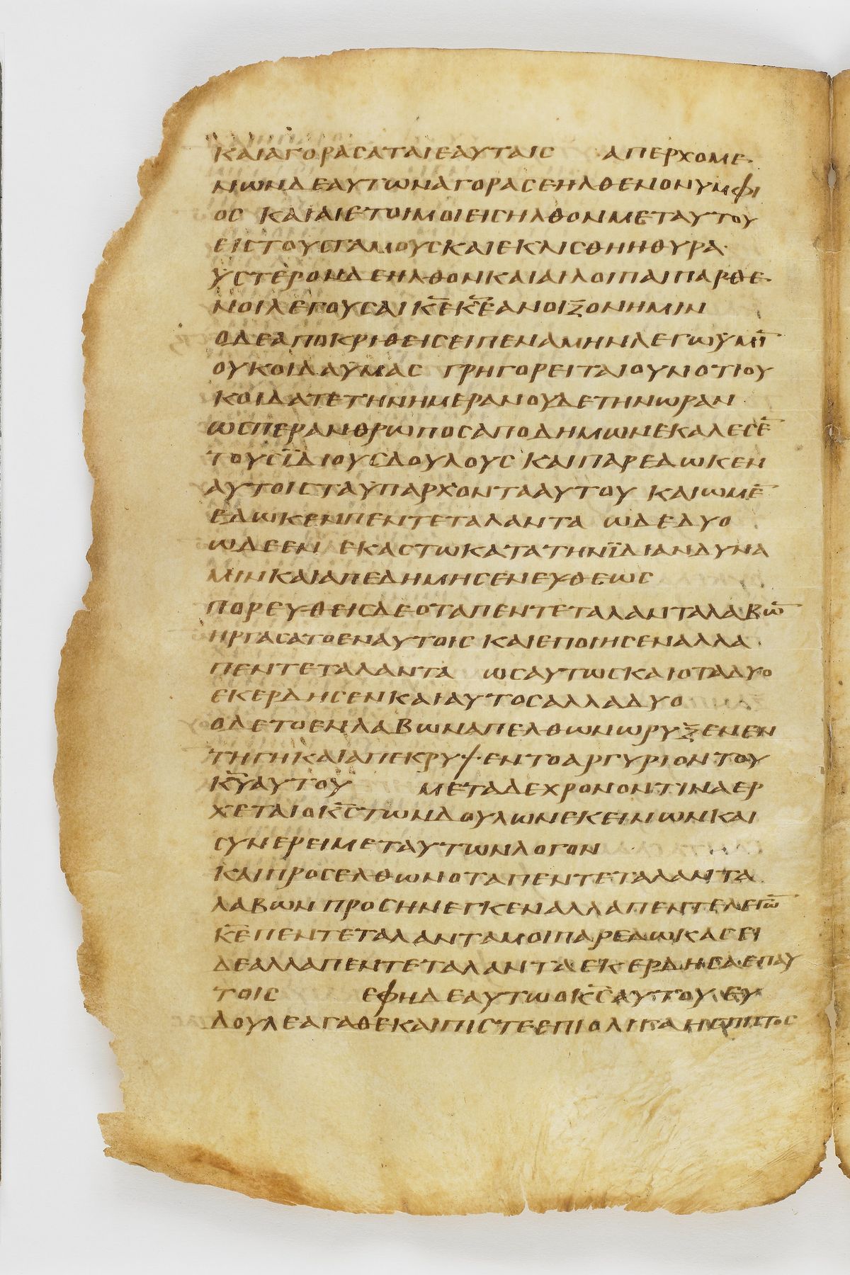 Scan washingtonianus/w-p0094-FS-7136_04.jpg