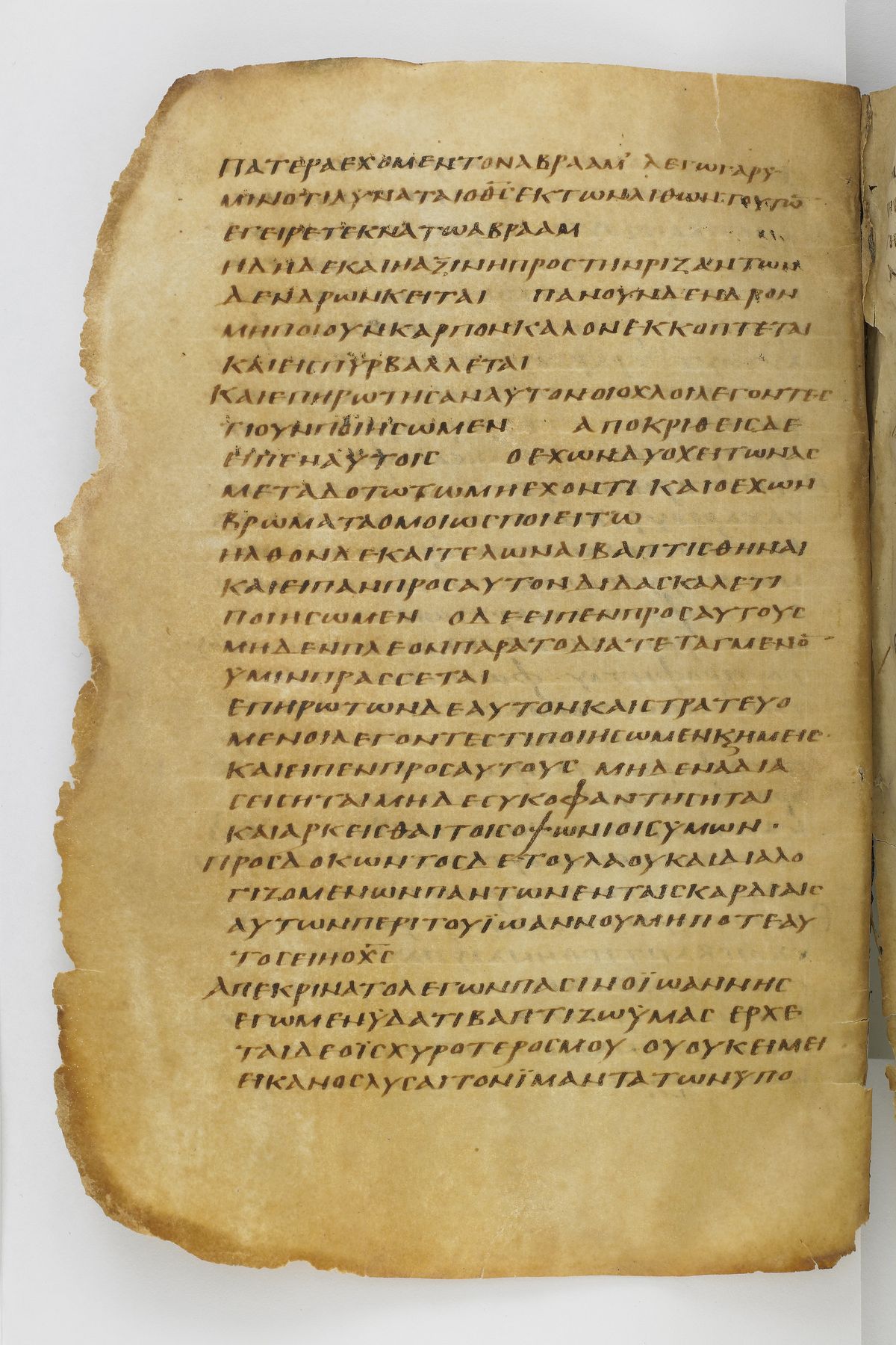 Scan washingtonianus/w-p0210-FS-7147_10.jpg