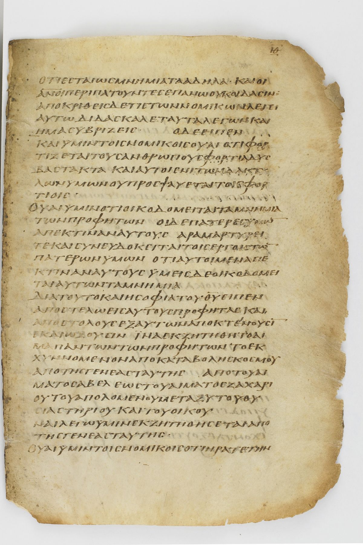 Scan washingtonianus/w-p0257-FS-7152_07.jpg