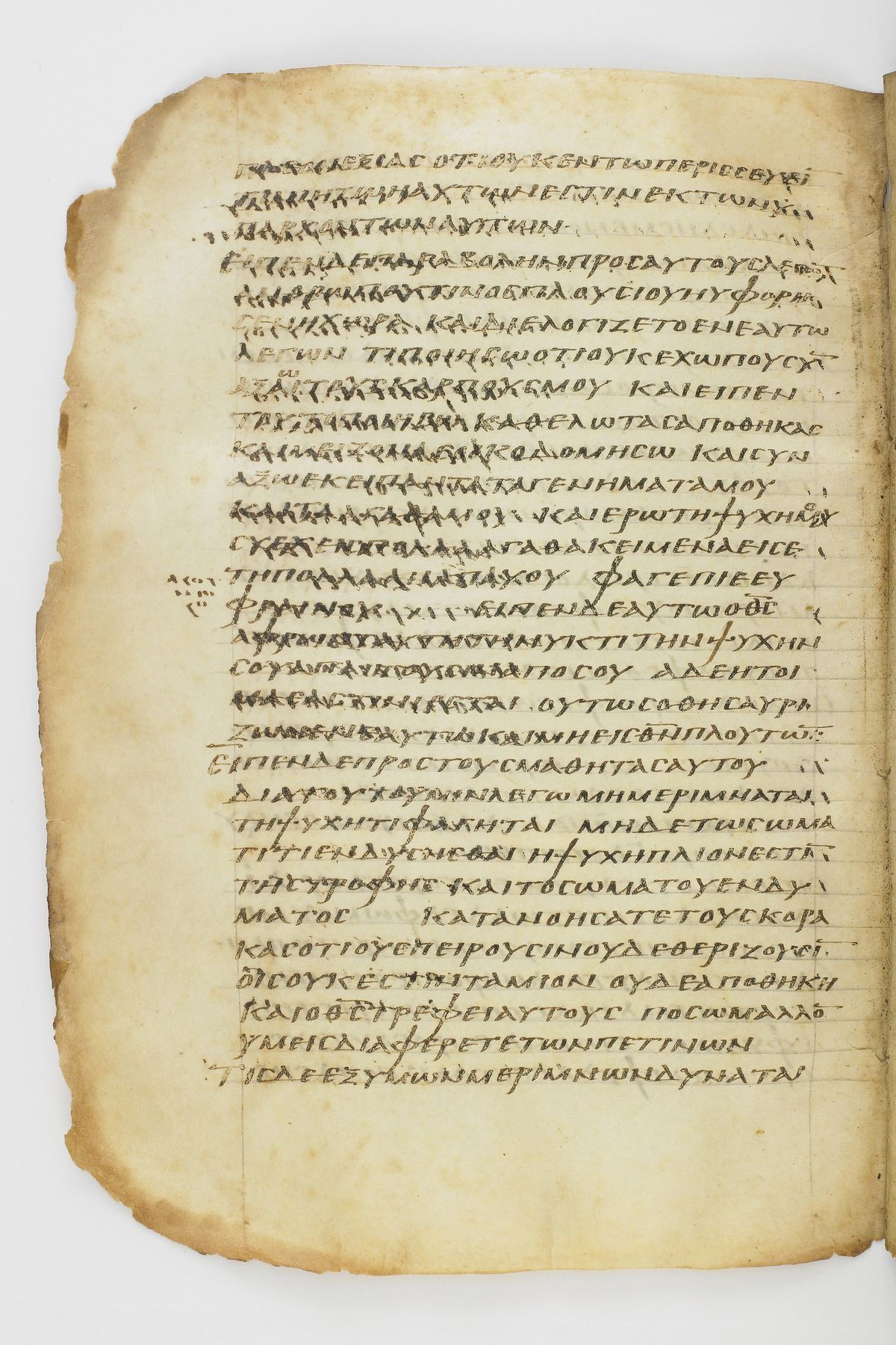 Scan washingtonianus/w-p0260-FS-7152_10.jpg