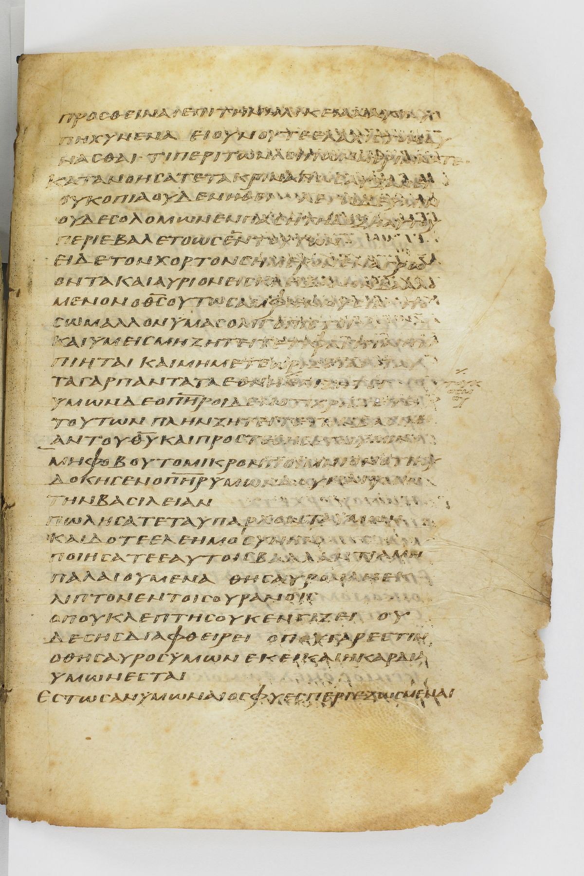 Scan washingtonianus/w-p0261-FS-7153_01.jpg